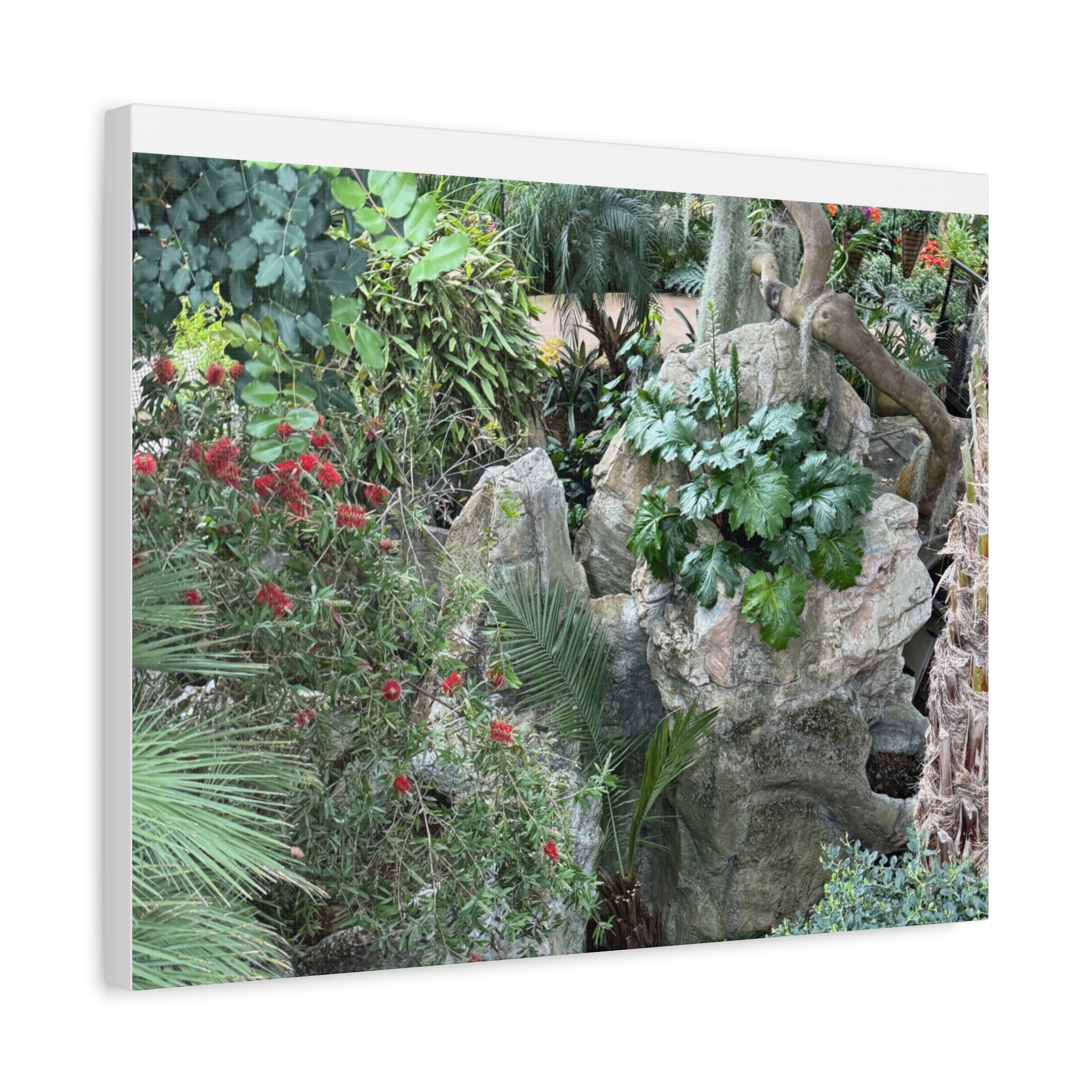 Garden Landscape Canvas Wall Art, Nature Decor, Home Decoration, Gift for Nature Lovers, Eco-Friendly Art, Botanical Wall Decor