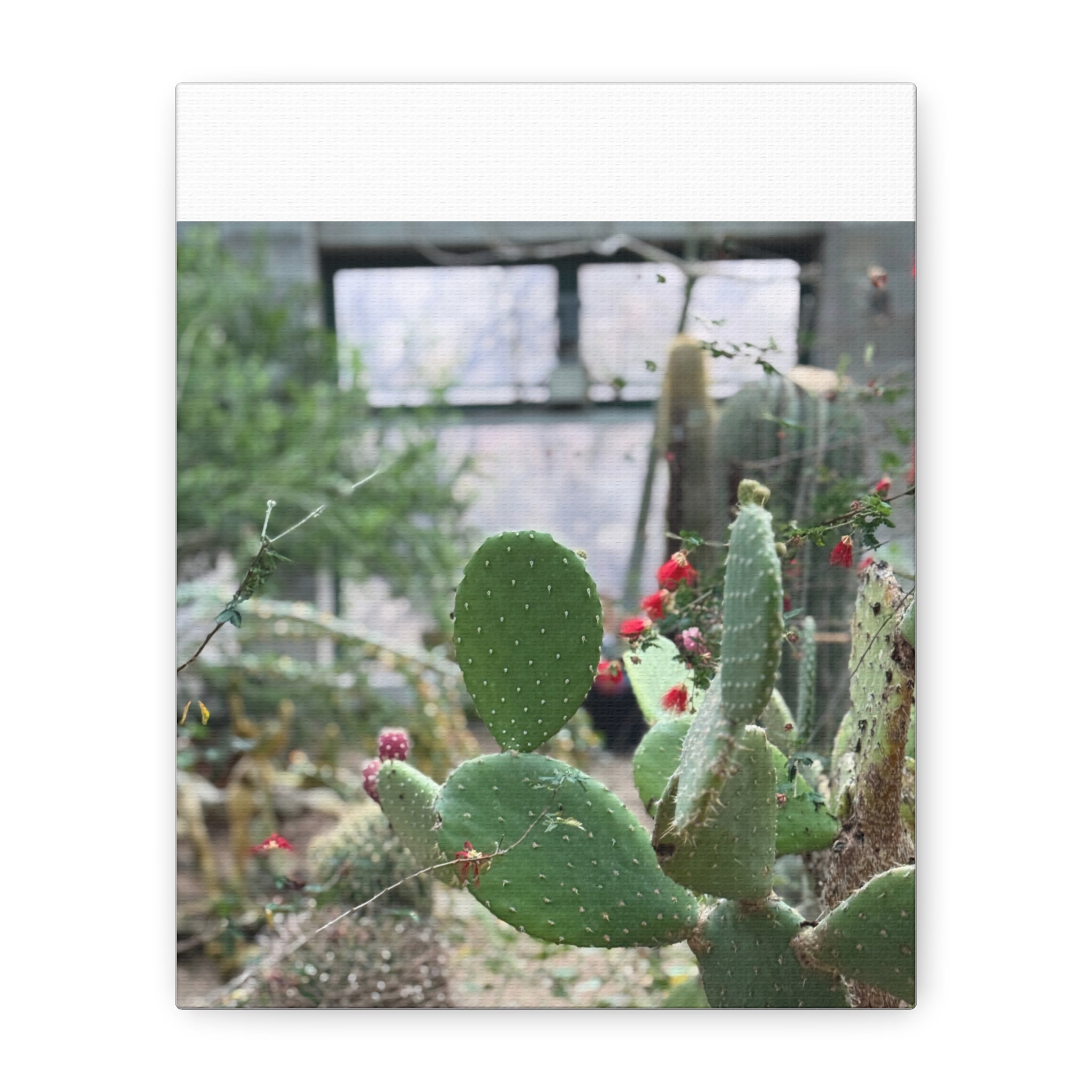 Cactus Matte Canvas Wall Art, Nature Decor, Southwestern Room Design, Green Plant Prints, Home and Office Wall Decor