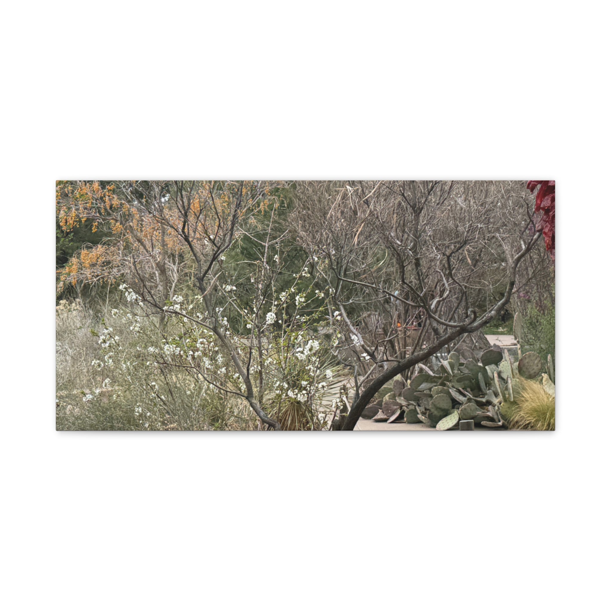 Classic Canvas Art Print, Bohemian Decor, Nature Wall Art, Home Gallery, Rustic Wall Decoration