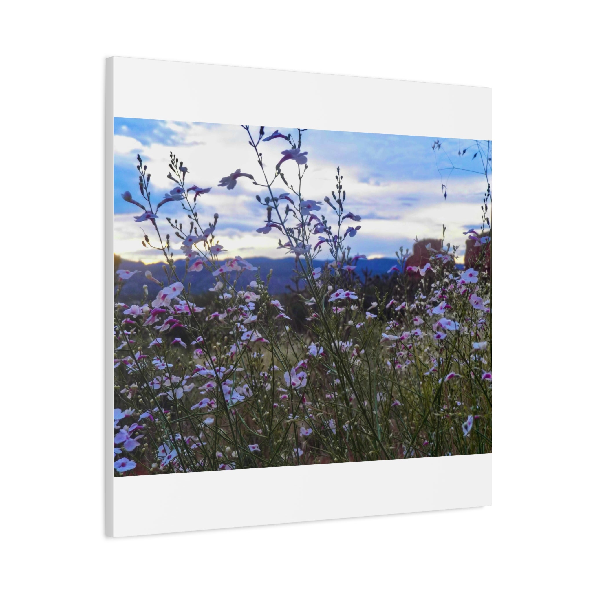 Floral Wall Art Canvas, Nature-Inspired Home Decor, Flower Print, Rustic Living Room, Gift for Gardeners, Boho Wall Art