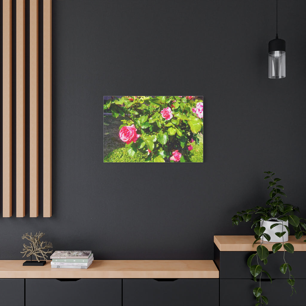 Floral Canvas Wall Art, Pink Rose Decor, Home Gallery Piece, Flower Photography, Garden Wall Decor, Floral Print