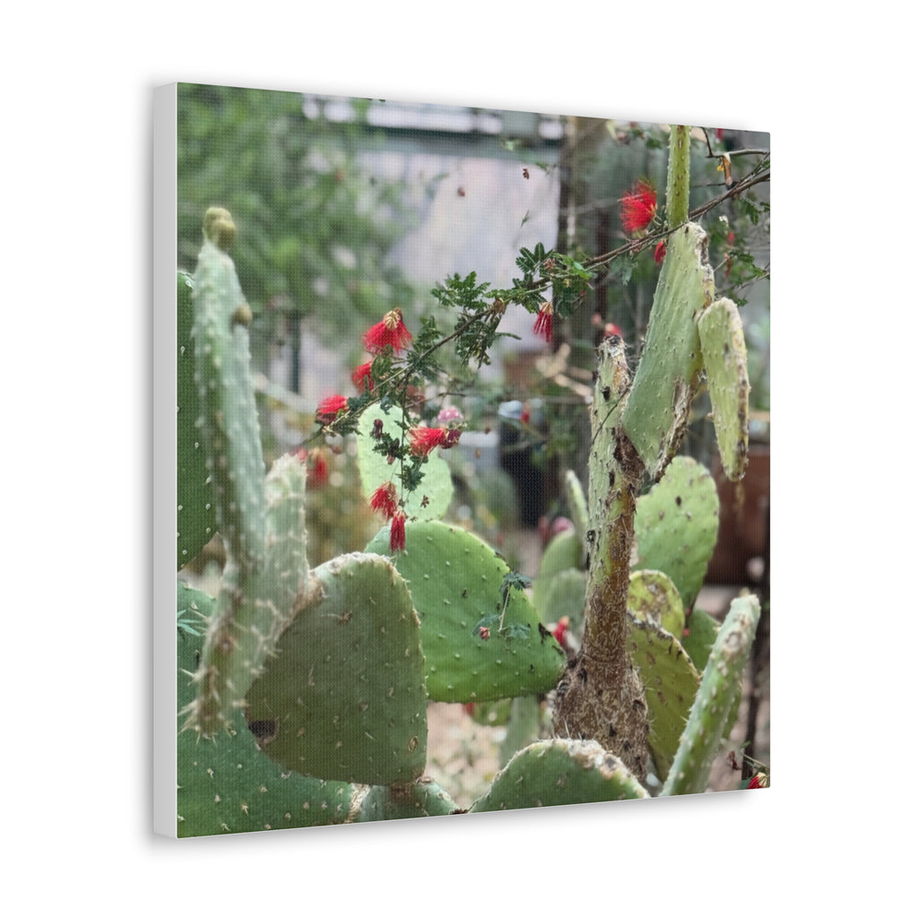 Cactus Artwork Print, Botanical Wall Decor, Succulent Canvas, Nature Lover Gift, Home Decoration