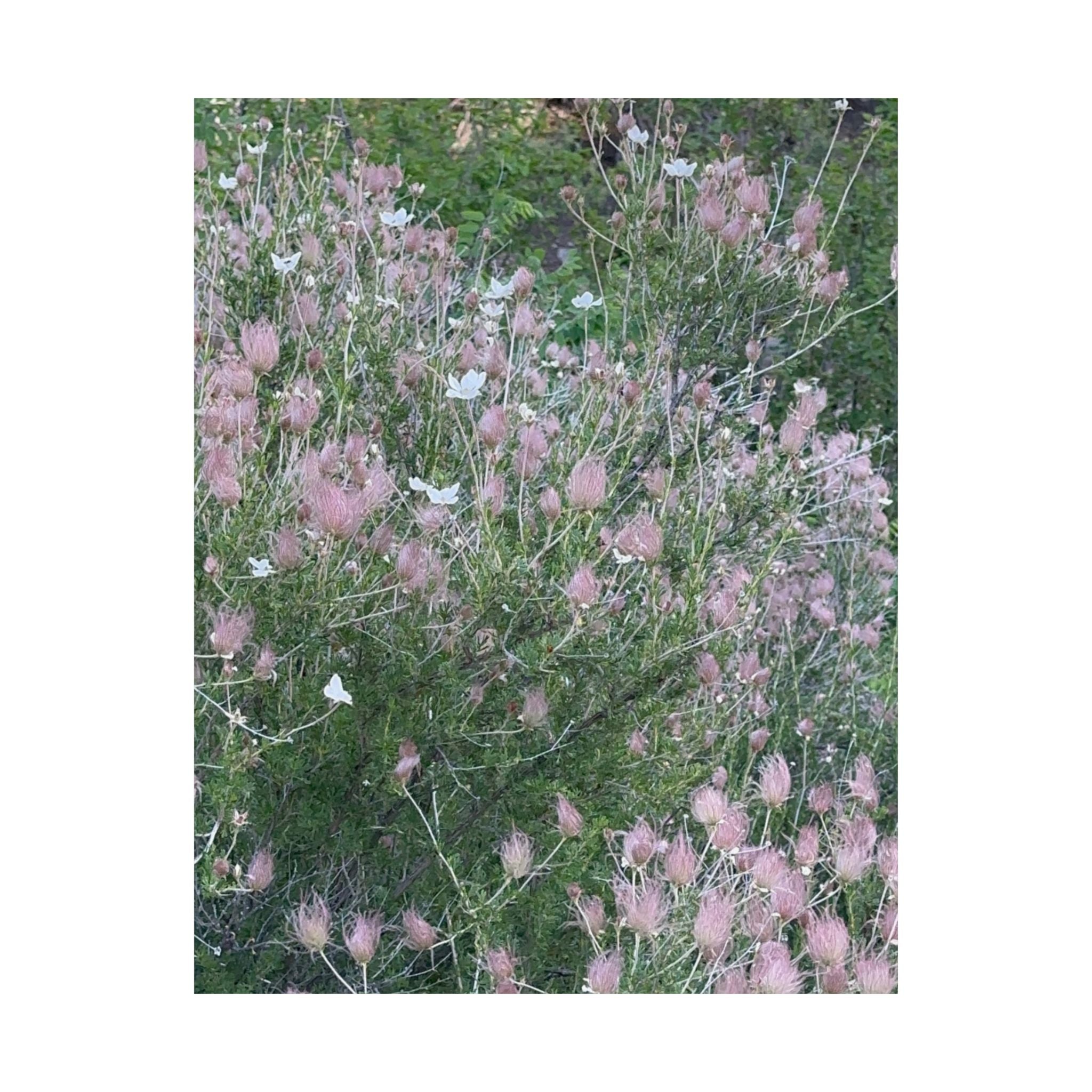 Botanical Vertical Art Print, Pink Floral Poster for Home Decor, Flower Wall Art, Nature-Inspired Artwork, Gift for Garden Lovers