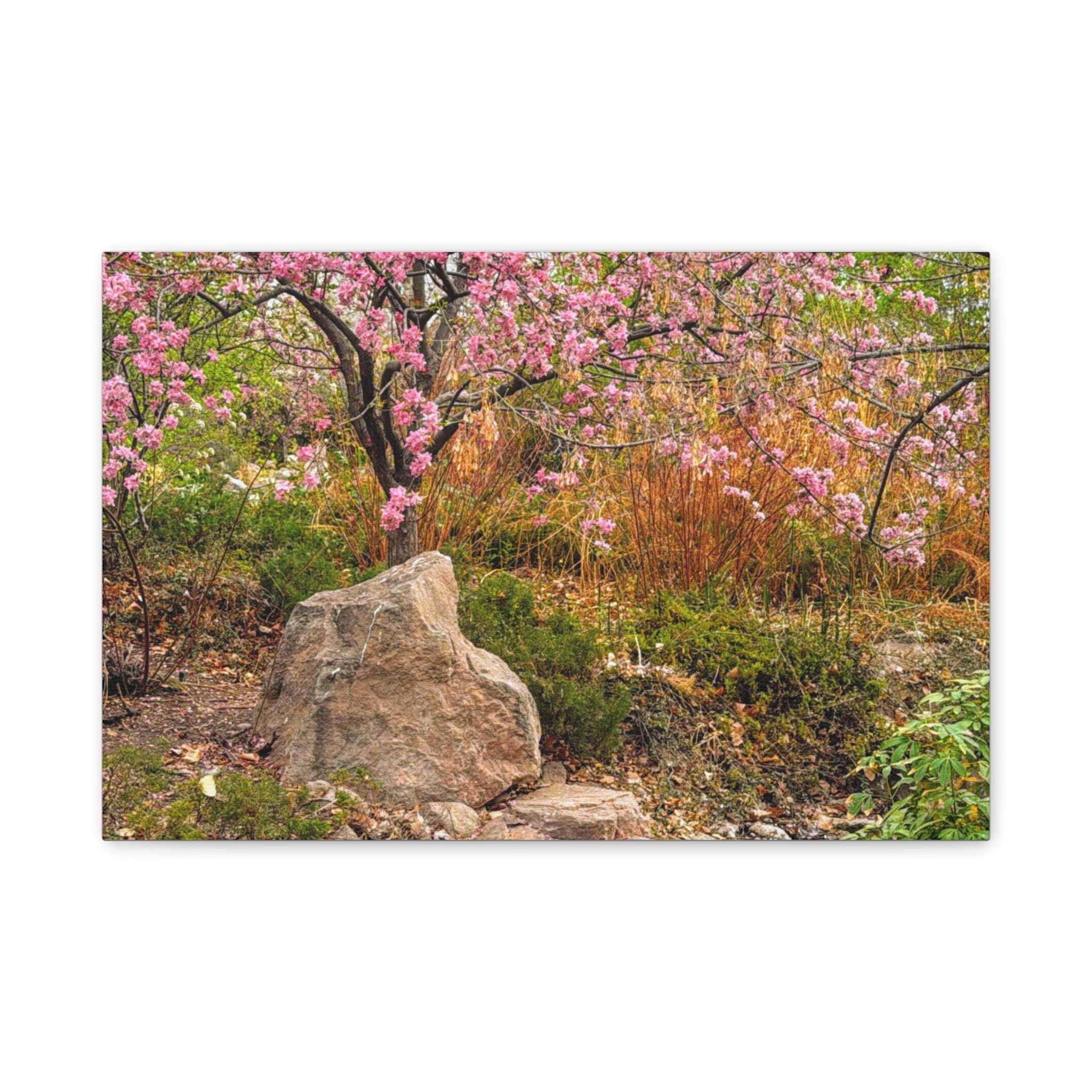 Canvas Wall Art, Pink Blossom Landscape Decor, Nature Photograph, Floral Print, Spring Home Decor, Gift for Nature Lovers