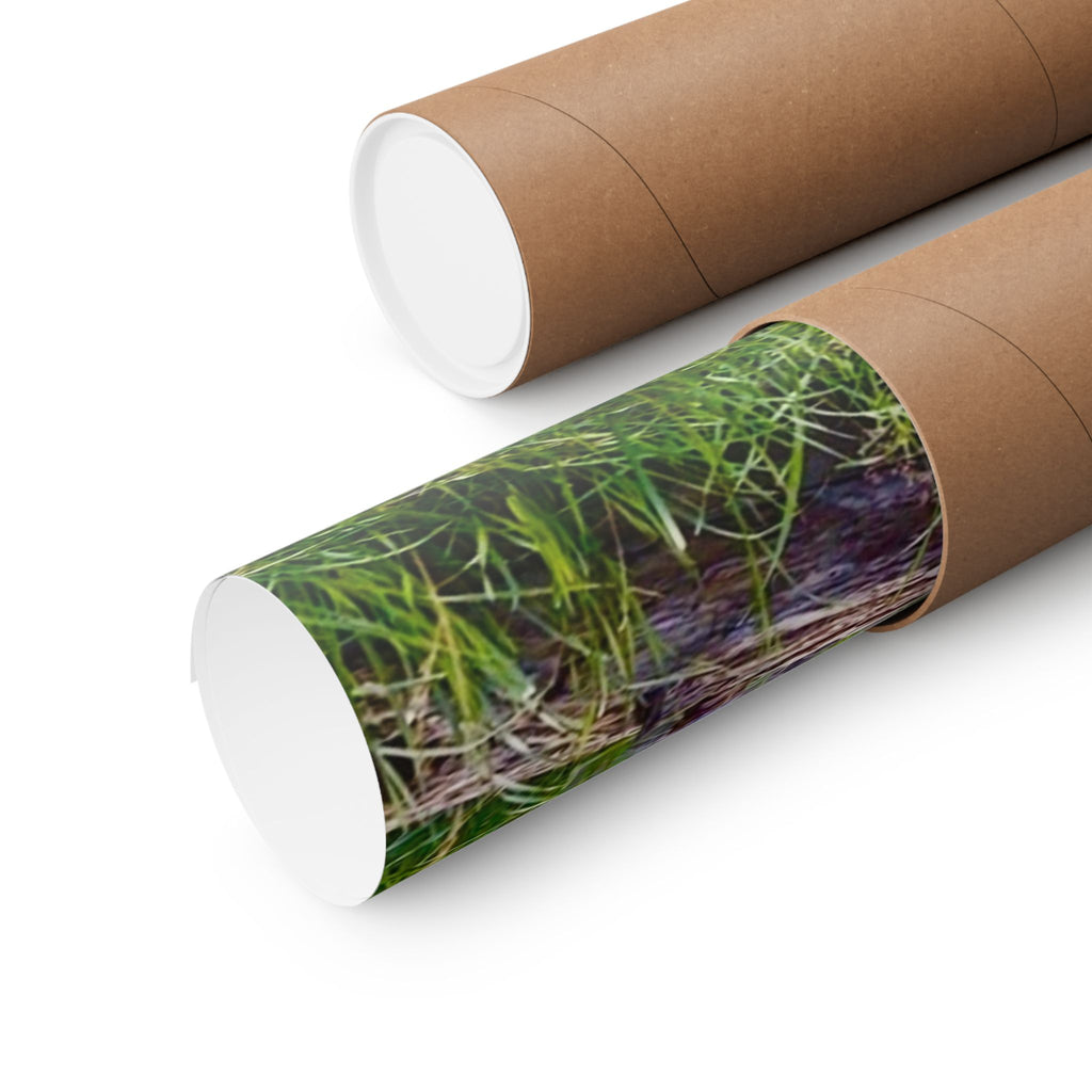 Nature-Inspired Matte Vertical Posters, Wall Art Decor, Forest Photo Prints, Home Aesthetic, Gift for Nature Lovers