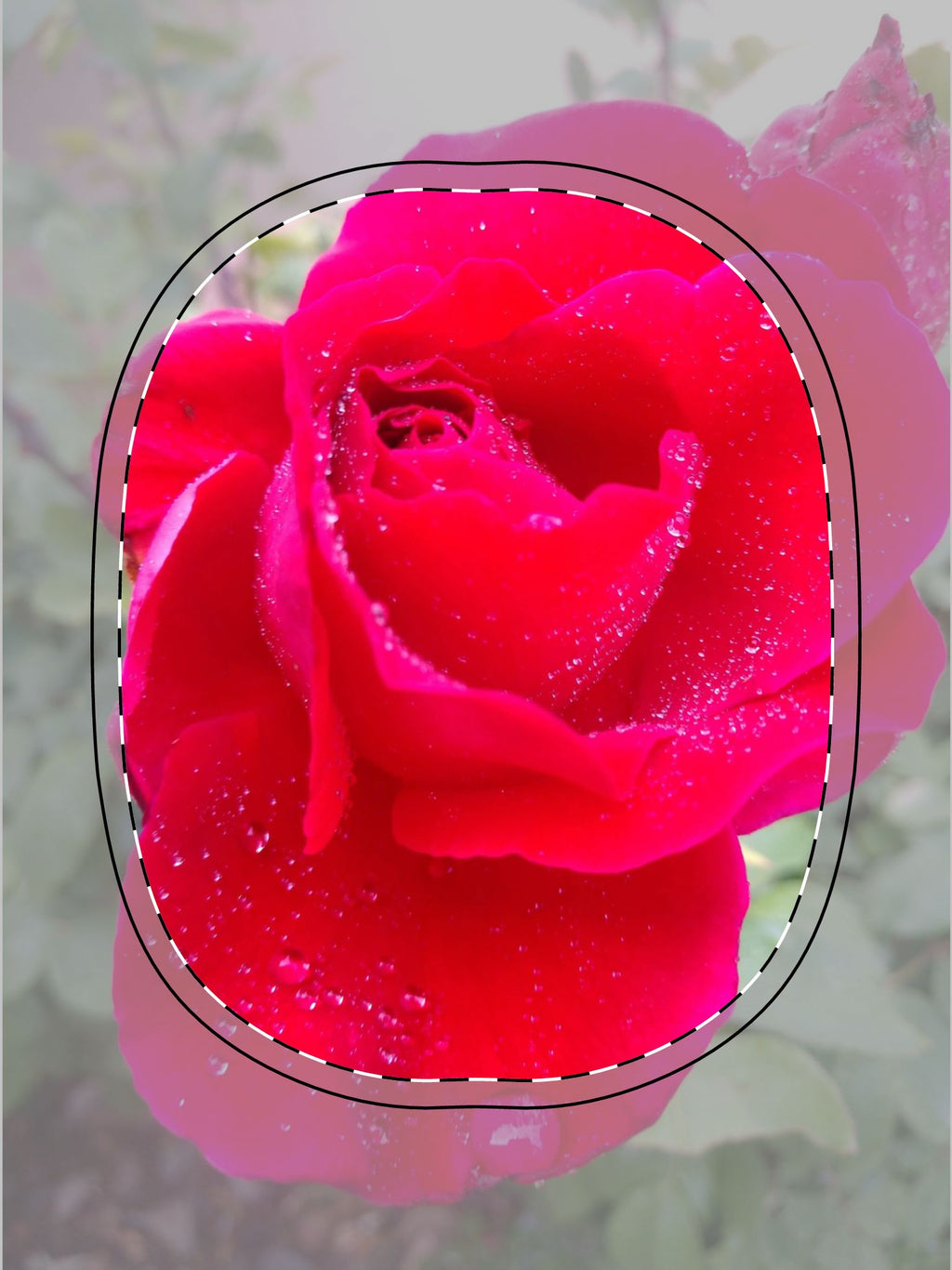 Stylish AirPods Max Shell Case, Floral Accessory, Gift for Music Lovers, Rose Print, AirPods Protector, Unique Tech Case