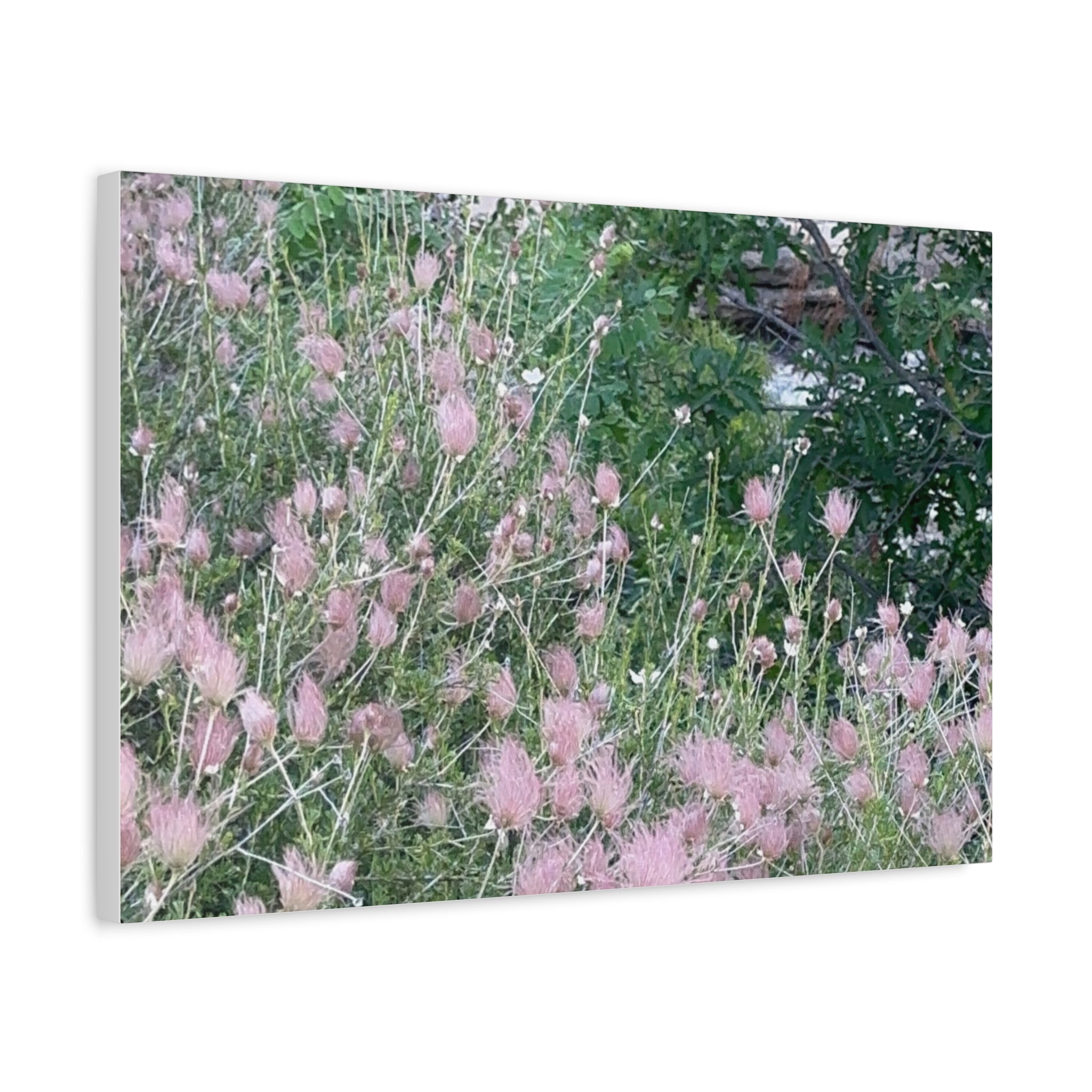 Floral Wall Art Canvas, Home Decor, Nature Lover Gift, Botanical Print, Spring Decor, Mother’s Day