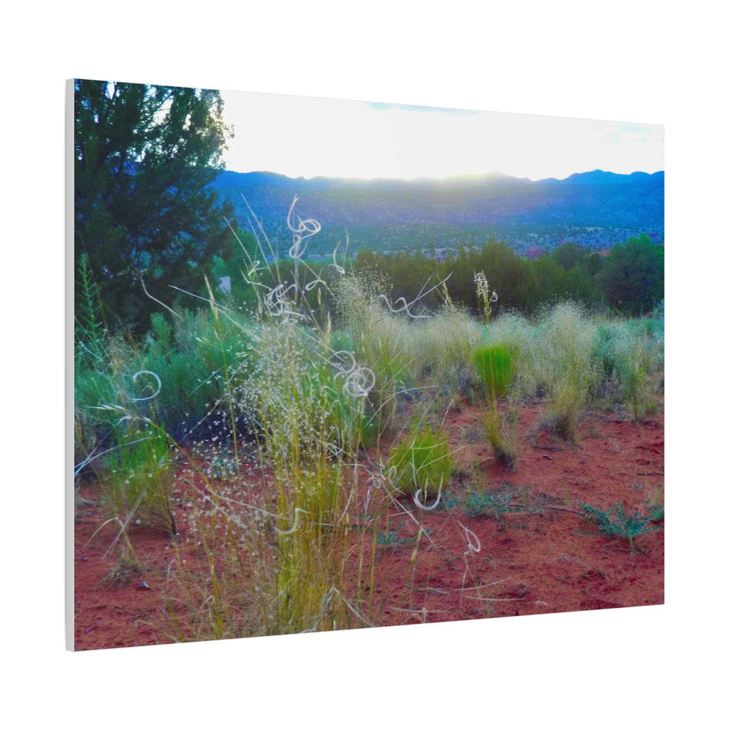 Stretched Canvas Art Print, Nature Wall Decor, Boho Home Decor, Rustic Landscape Art, Gift for Nature Lovers