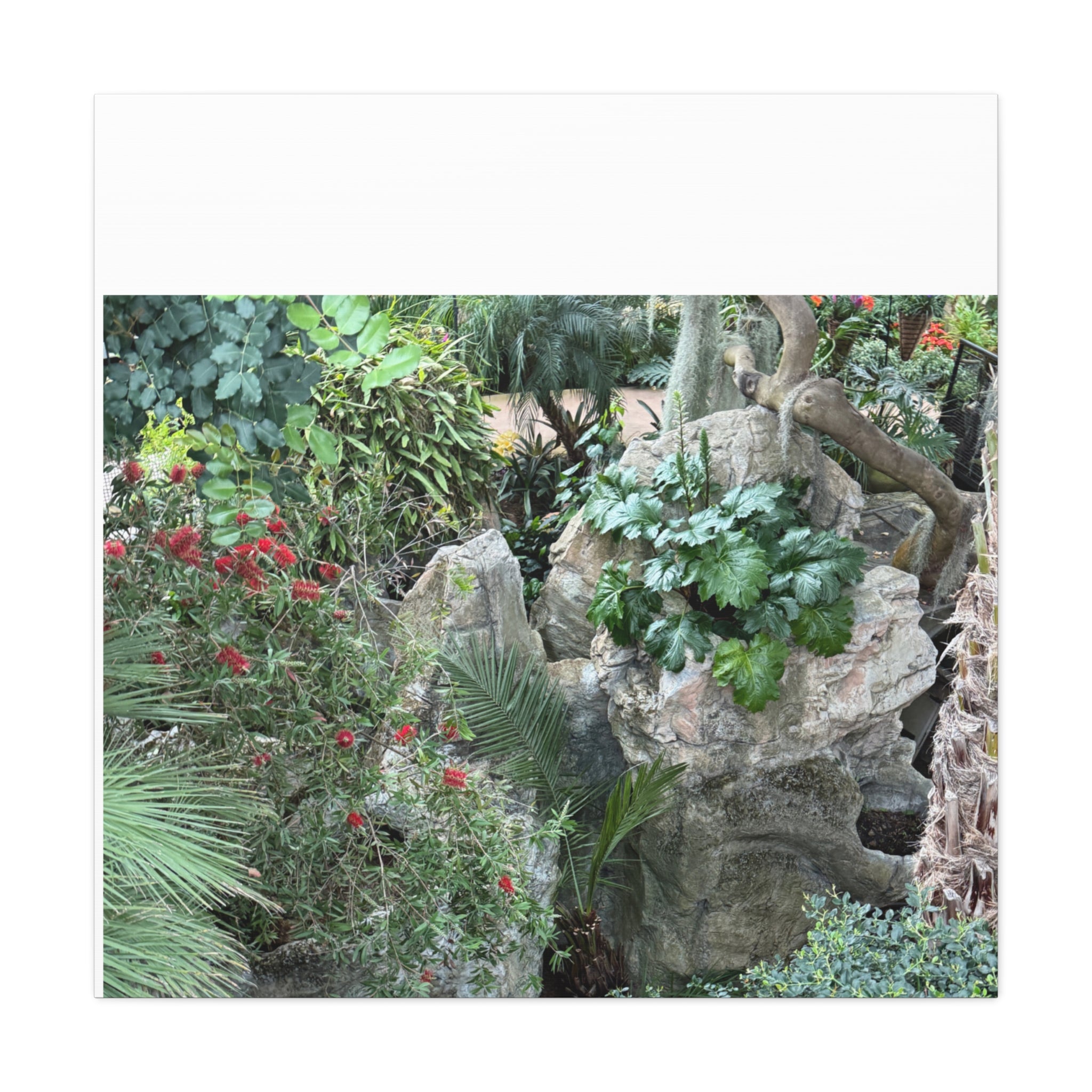 Nature-Inspired Wall Art, Canvas Print, Botanical Decor for Home, Greenery Art, Gift for Nature Lovers, Eco-Friendly Decoration