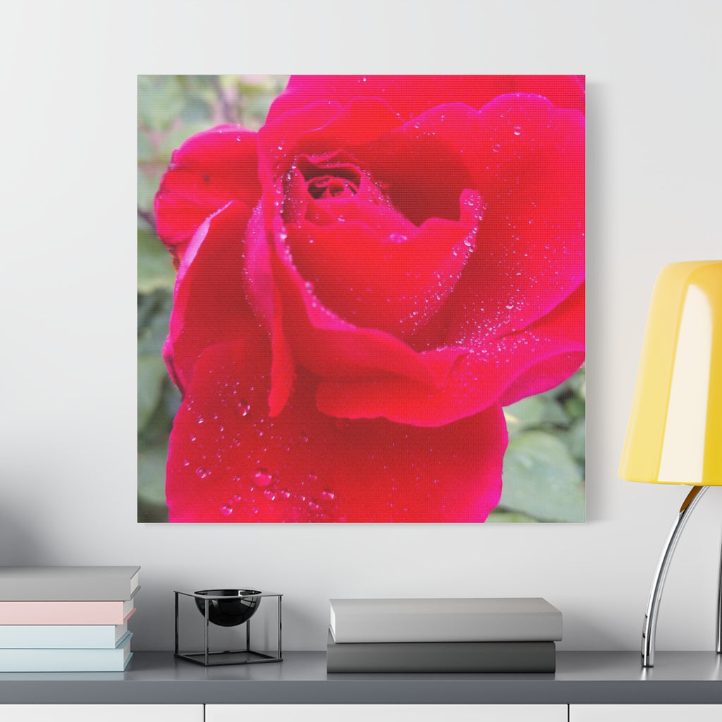 Stunning Floral Canvas Print, Home Decor, Wall Art, Gift for Flower Lovers, Red Rose Art, Mother's Day Gift
