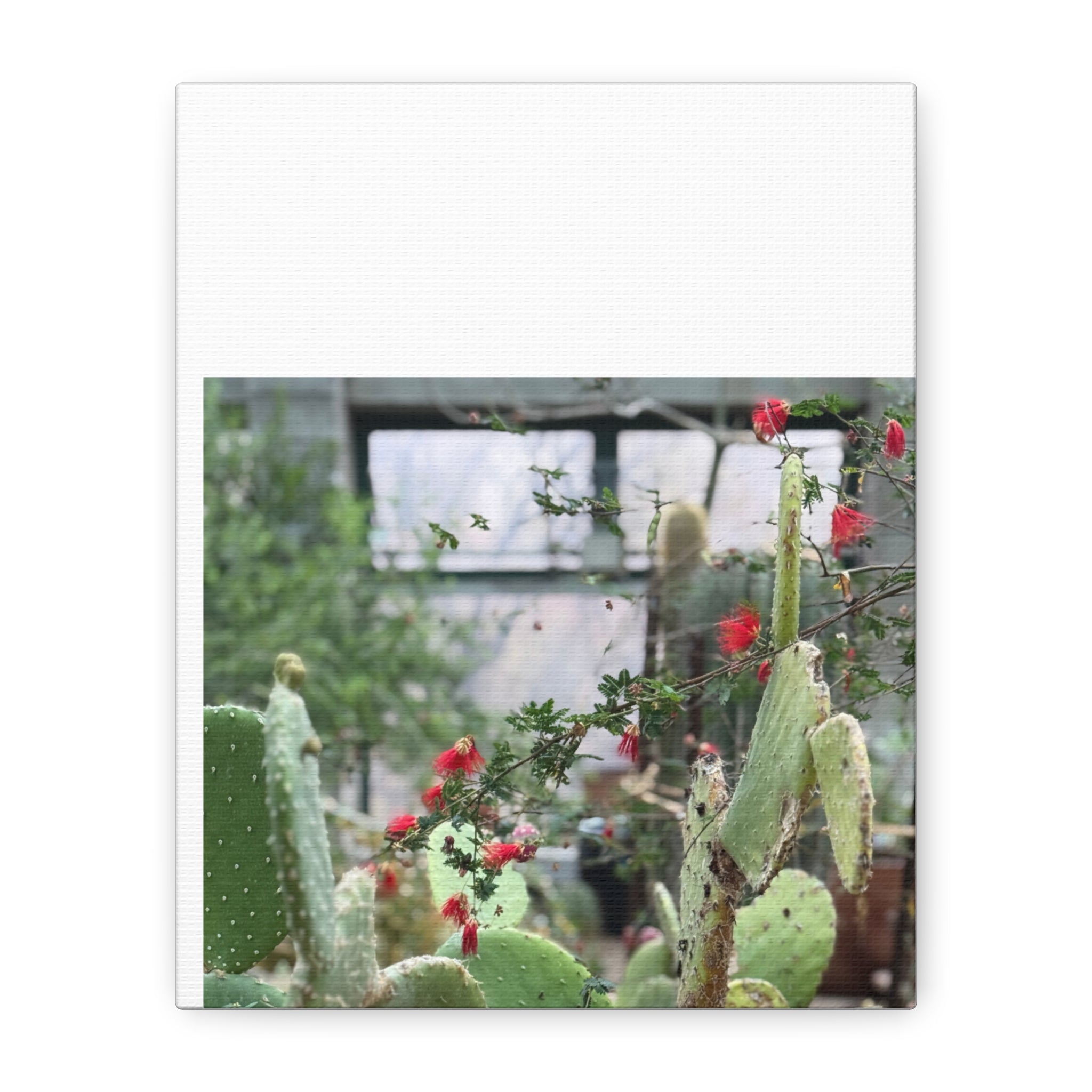 Cactus Wall Art Print, Nature Home Decor, Bohemian Style Artwork, Botanical Gift, Succulent Canvas
