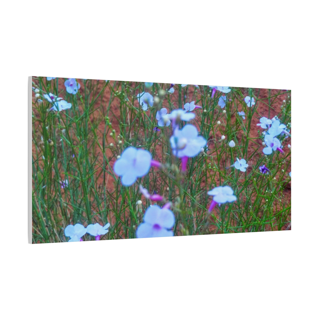 Floral Canvas Wall Art, Home Decor, Wall Hanging, Gift Idea, Nature Art, Flower Print