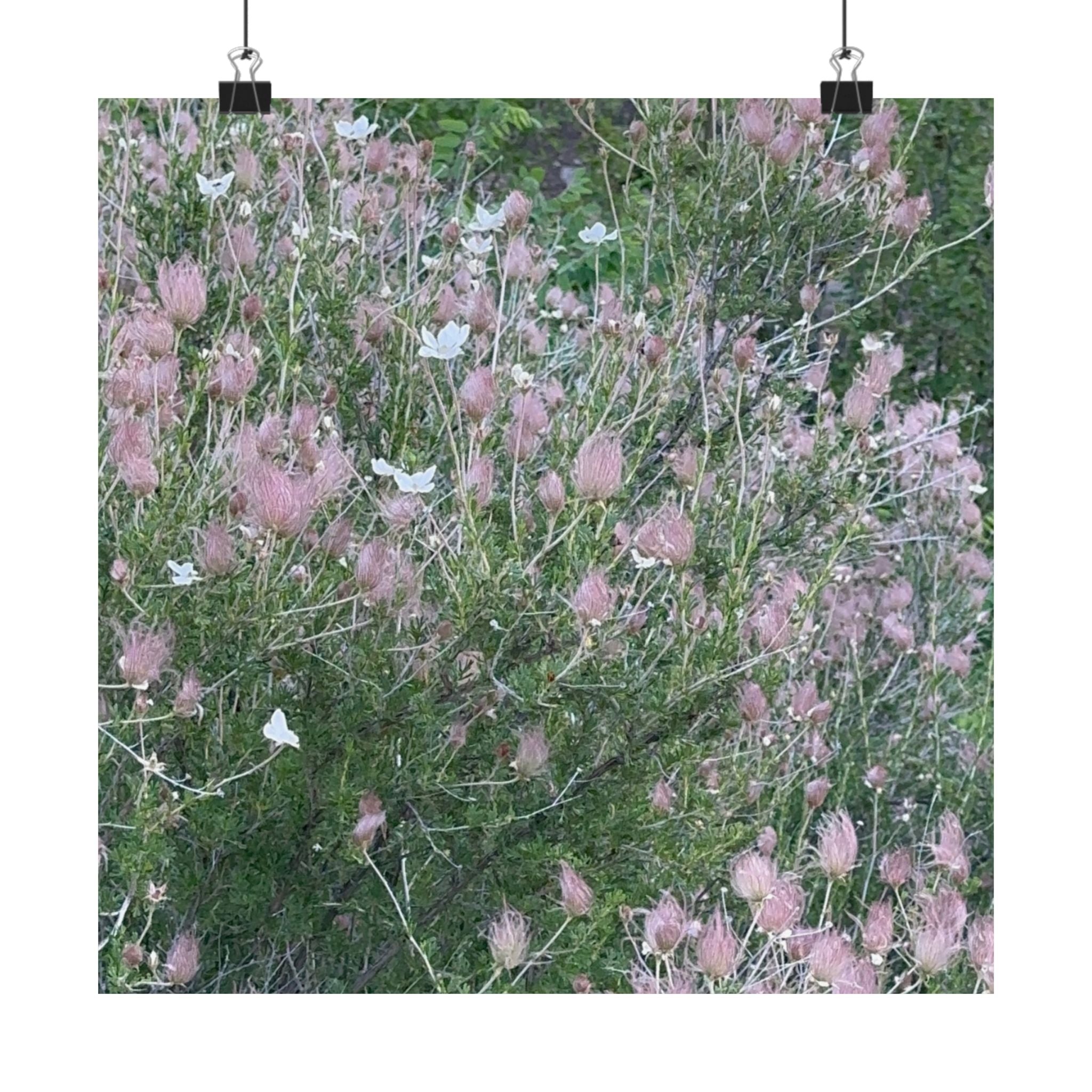 Botanical Vertical Art Print, Pink Floral Poster for Home Decor, Flower Wall Art, Nature-Inspired Artwork, Gift for Garden Lovers