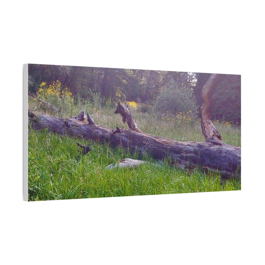 Matte Canvas Wall Art - Serene Nature Scene, Perfect for Home Decor, Gift for Nature Lovers, Office Wall Decoration, Rustic Art Print