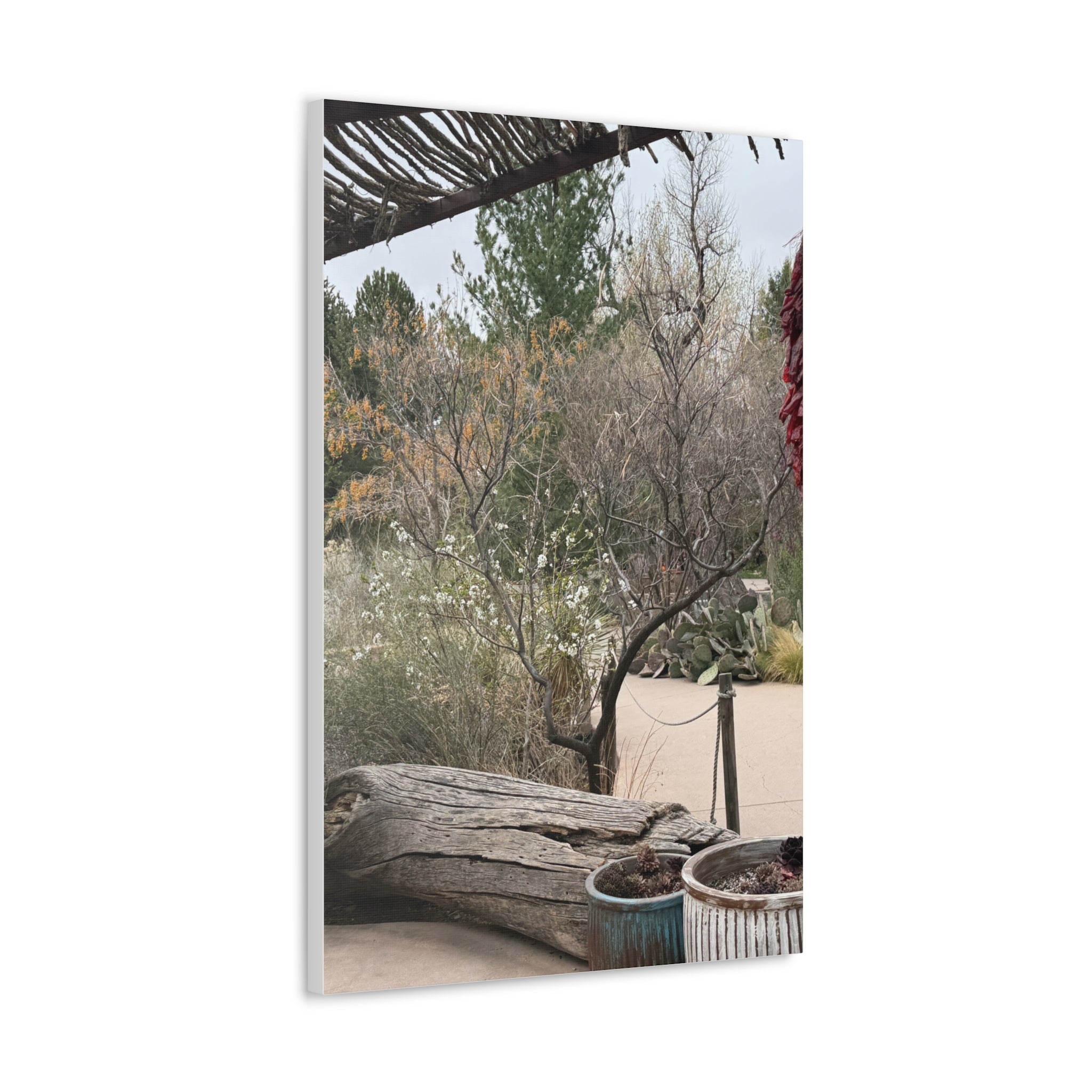 Classic Canvas Art Print, Bohemian Decor, Nature Wall Art, Home Gallery, Rustic Wall Decoration