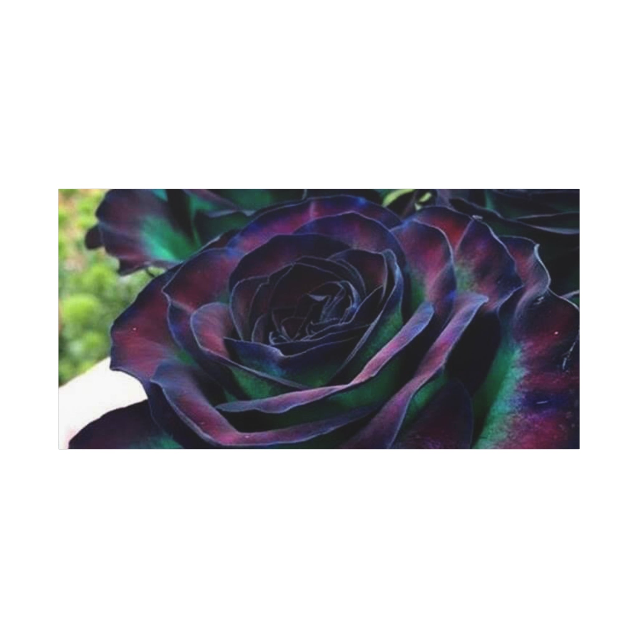 Matte Canvas Wall Art Print of Mystical Roses, Colorful Home Decor, Unique Gift for Art Lovers, Flower Wall Decor, Floral Artwork, [...]