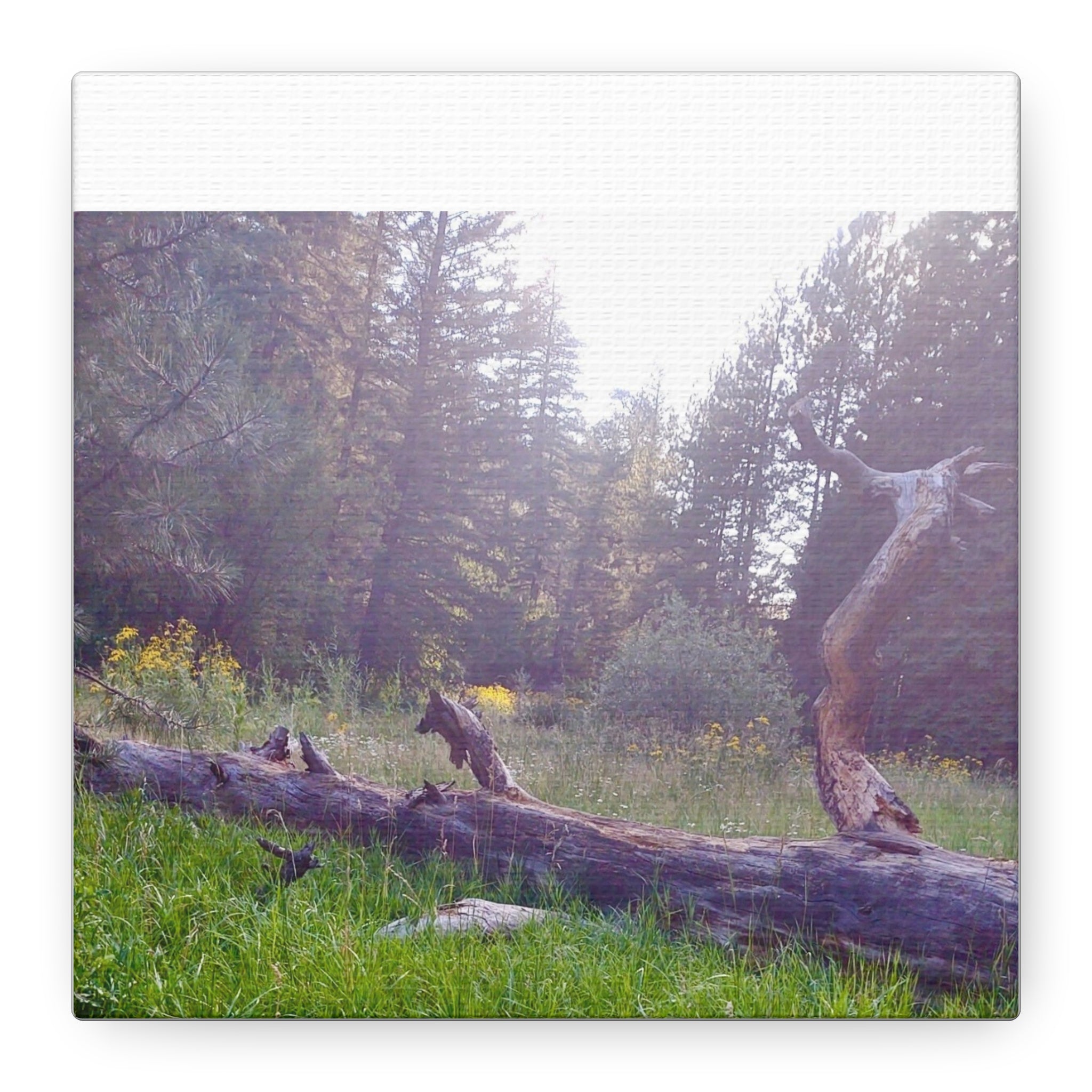 Matte Canvas Wall Art - Serene Nature Scene, Perfect for Home Decor, Gift for Nature Lovers, Office Wall Decoration, Rustic Art Print