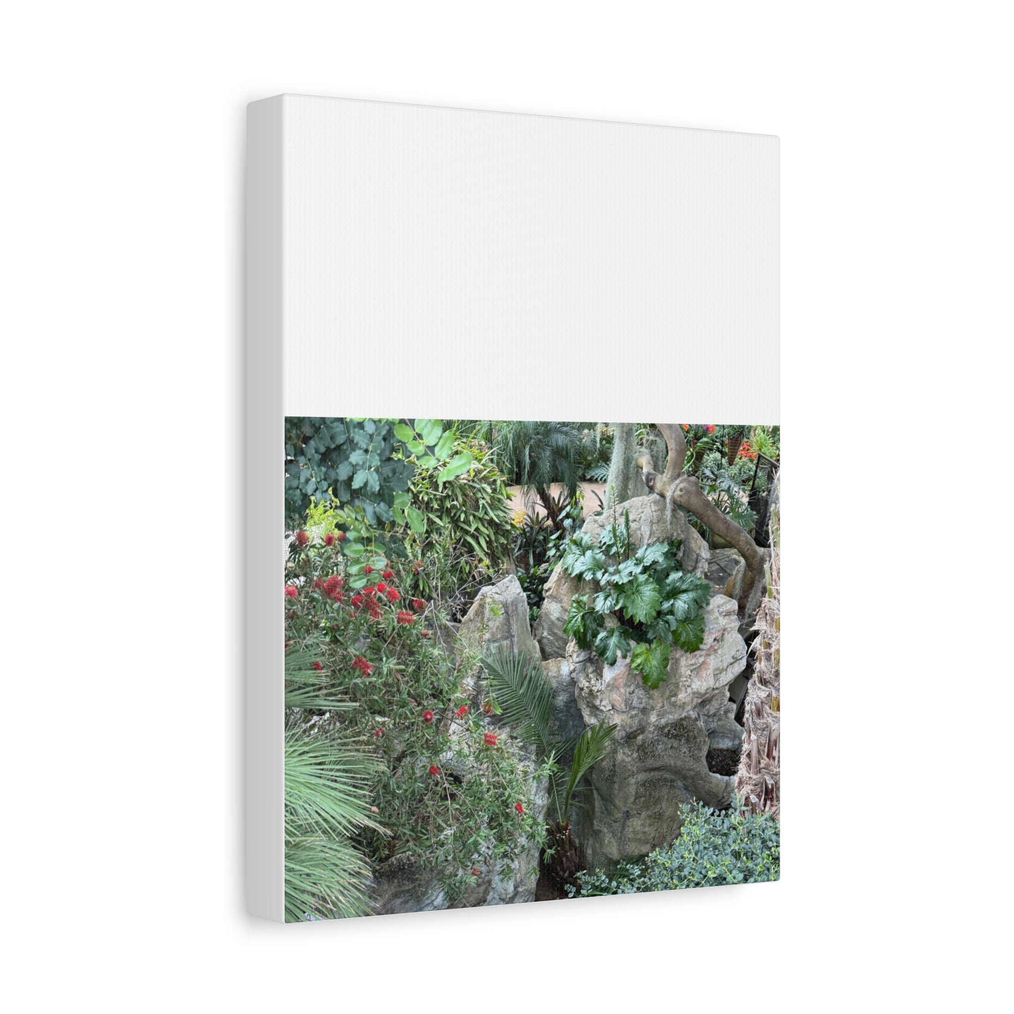 Garden Landscape Canvas Wall Art, Nature Decor, Home Decoration, Gift for Nature Lovers, Eco-Friendly Art, Botanical Wall Decor