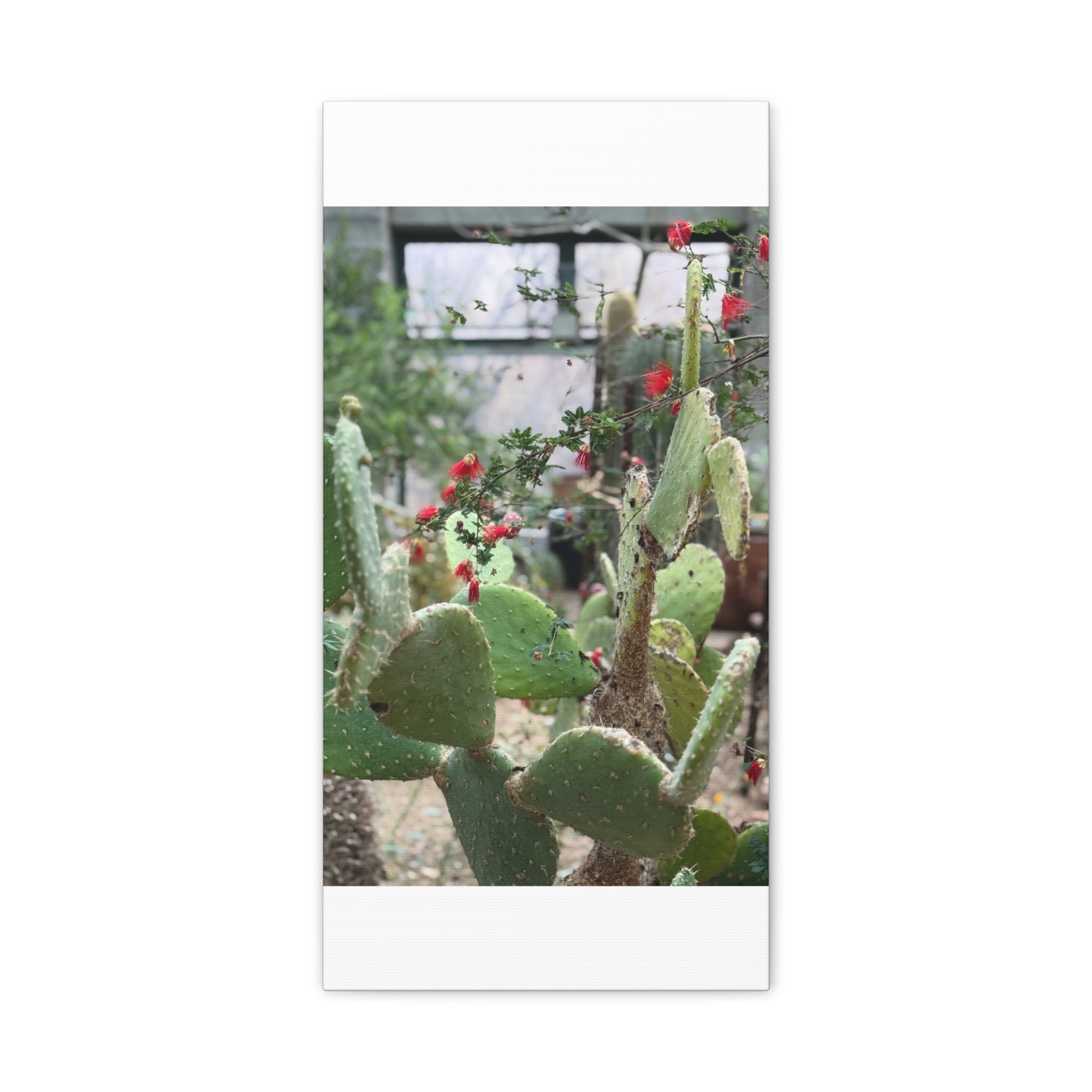 Cactus Artwork Print, Botanical Wall Decor, Succulent Canvas, Nature Lover Gift, Home Decoration