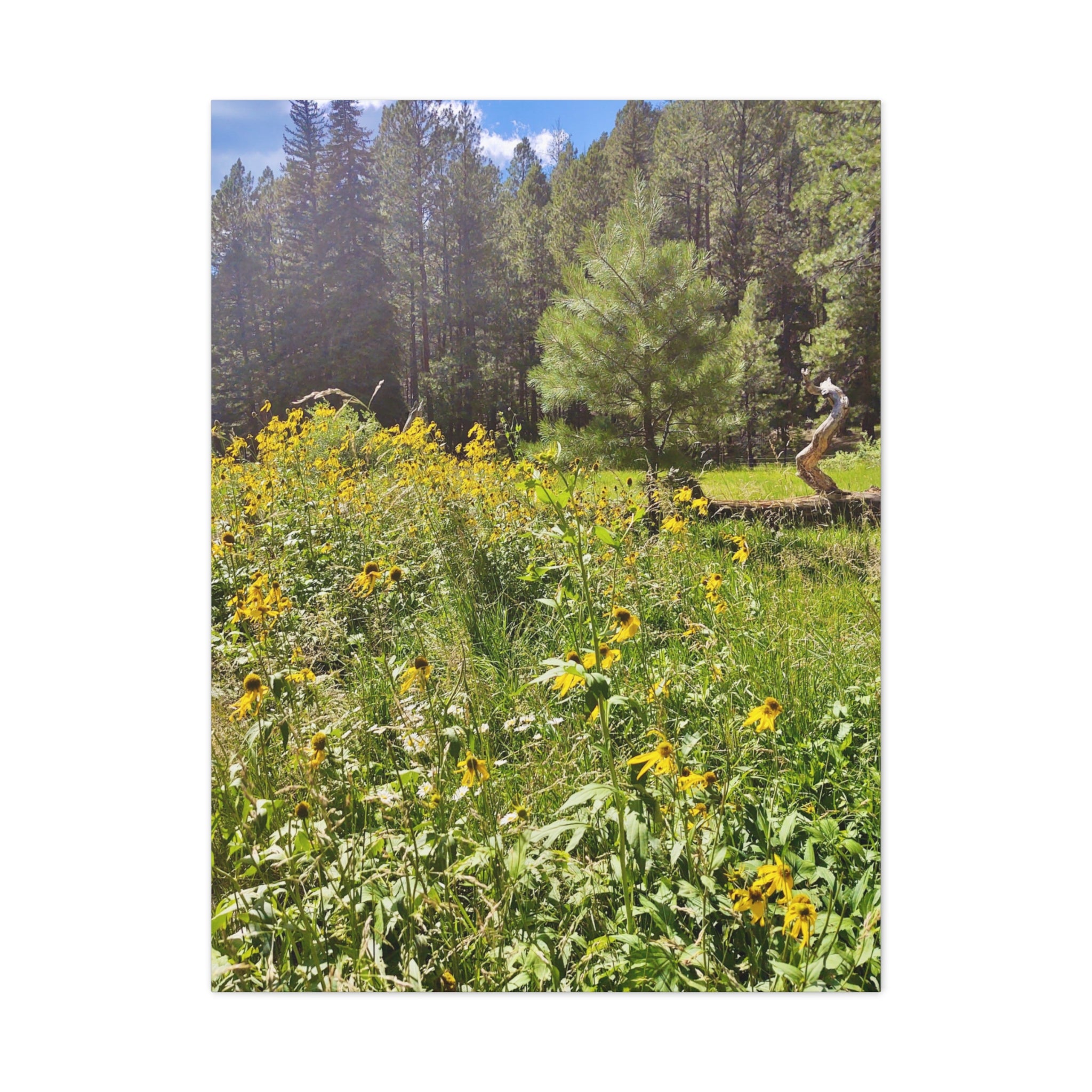 Canvas Wall Art, Nature Photography Decor, Floral Home Decor, Greenery Art Print, Gift for Nature Lovers