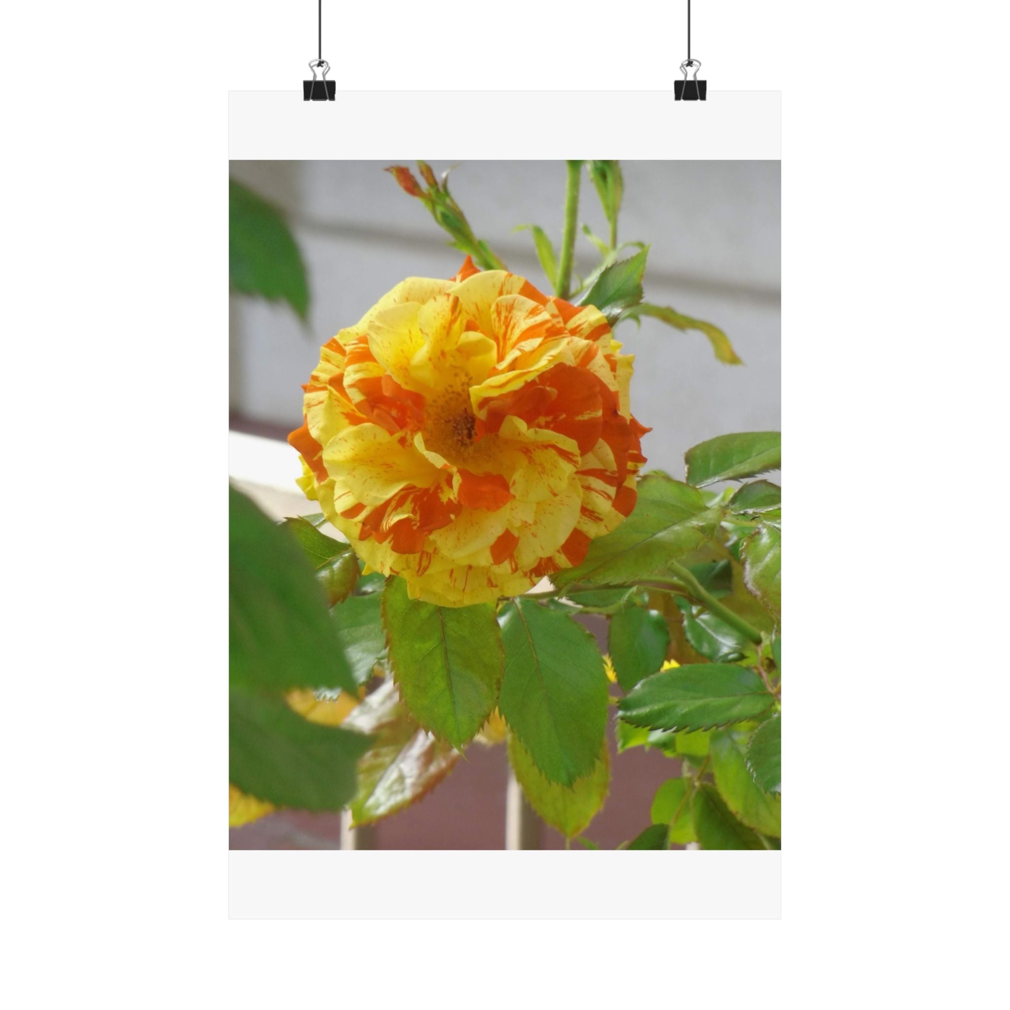 Vibrant Floral Wall Art, Matte Vertical Posters, Home Decor, Flower Illustration, Gift for Nature Lovers, Modern Art Prints, Colorful [...]