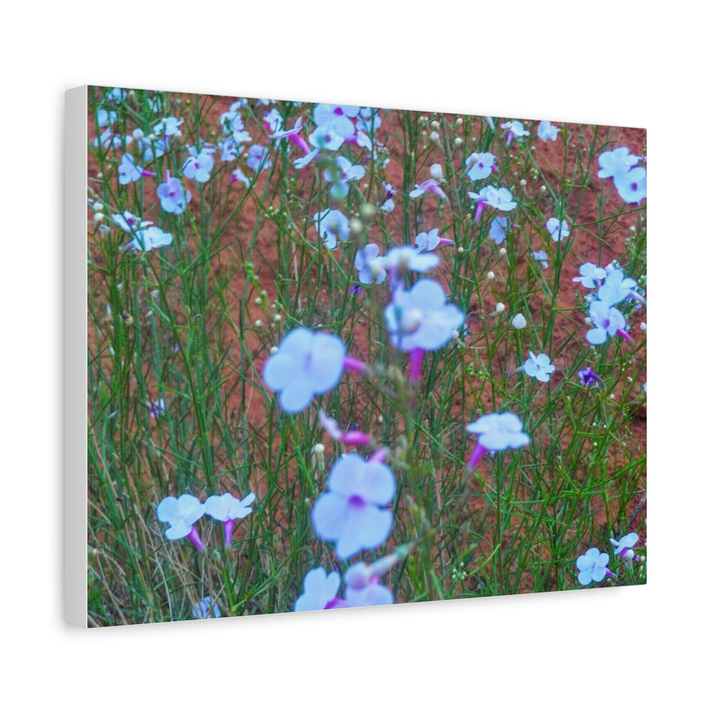 Floral Canvas Wall Art, Home Decor, Wall Hanging, Gift Idea, Nature Art, Flower Print