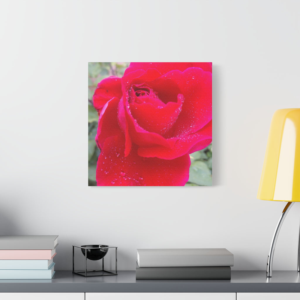 Stunning Floral Canvas Print, Home Decor, Wall Art, Gift for Flower Lovers, Red Rose Art, Mother's Day Gift