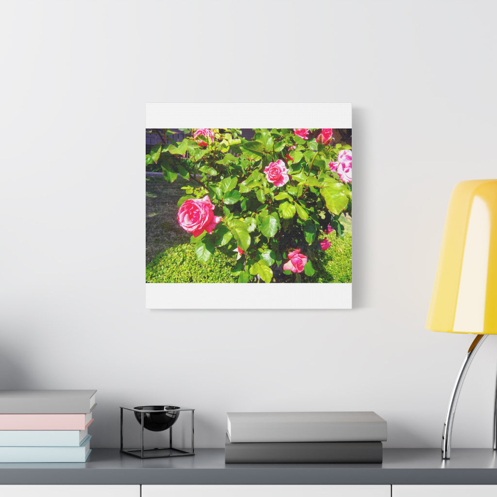 Floral Canvas Wall Art, Pink Rose Decor, Home Gallery Piece, Flower Photography, Garden Wall Decor, Floral Print
