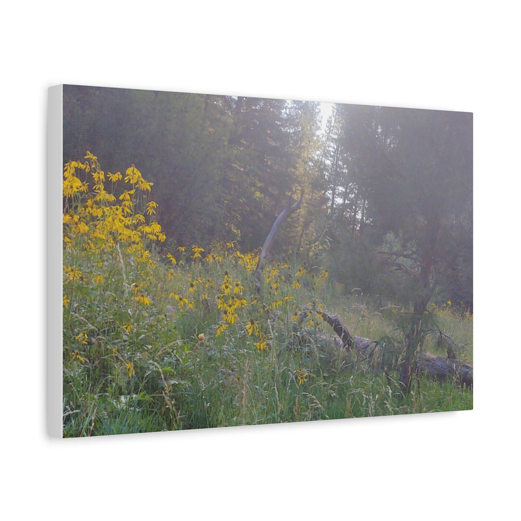 Matte Canvas, Stretched, 1.25"