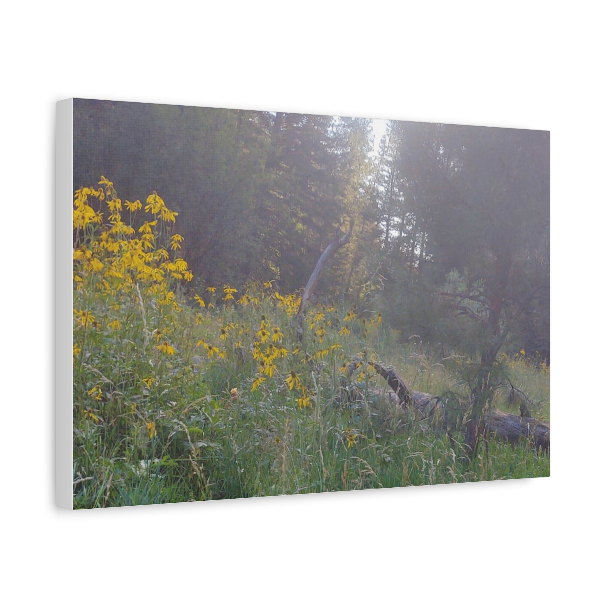 Matte Canvas, Stretched, 1.25"