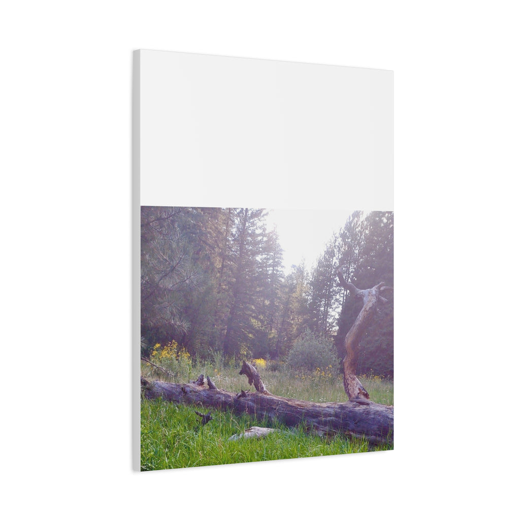 Matte Canvas Wall Art - Serene Nature Scene, Perfect for Home Decor, Gift for Nature Lovers, Office Wall Decoration, Rustic Art Print