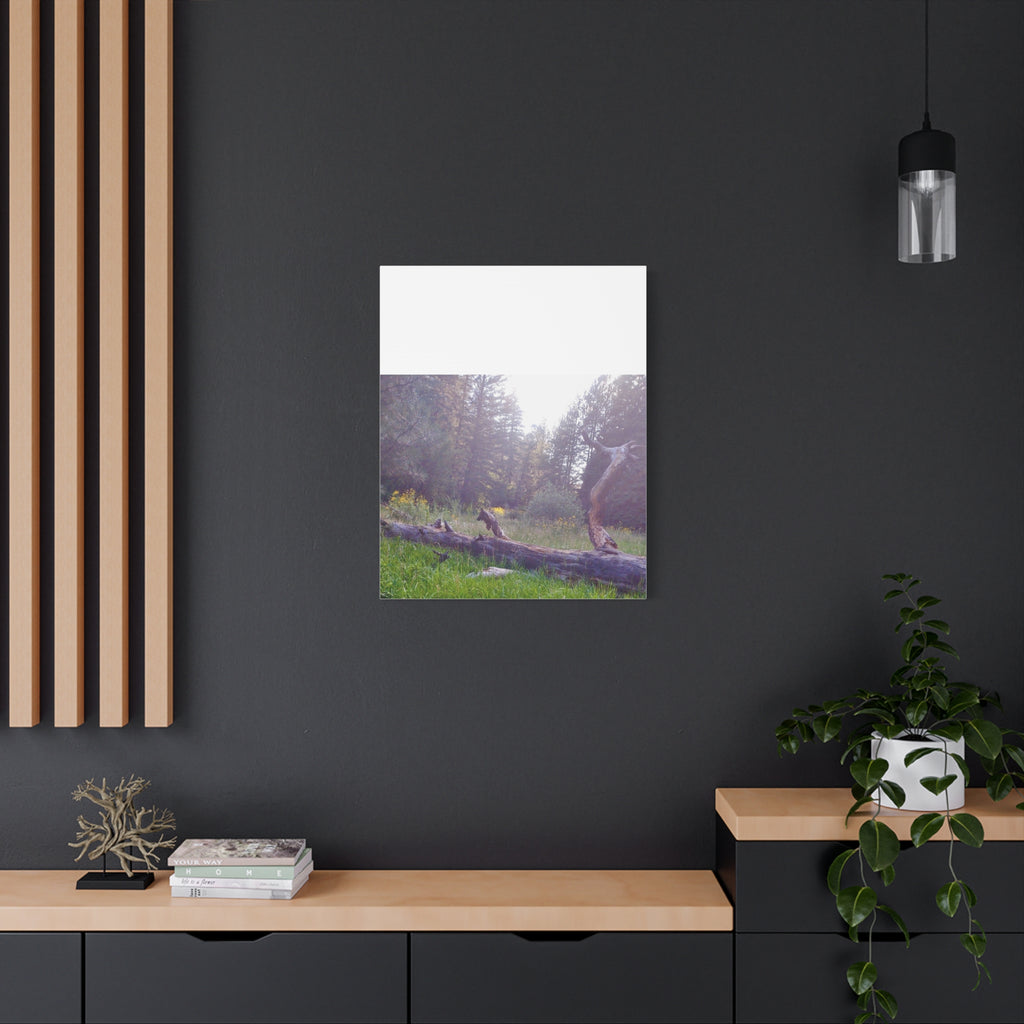 Matte Canvas Wall Art - Serene Nature Scene, Perfect for Home Decor, Gift for Nature Lovers, Office Wall Decoration, Rustic Art Print