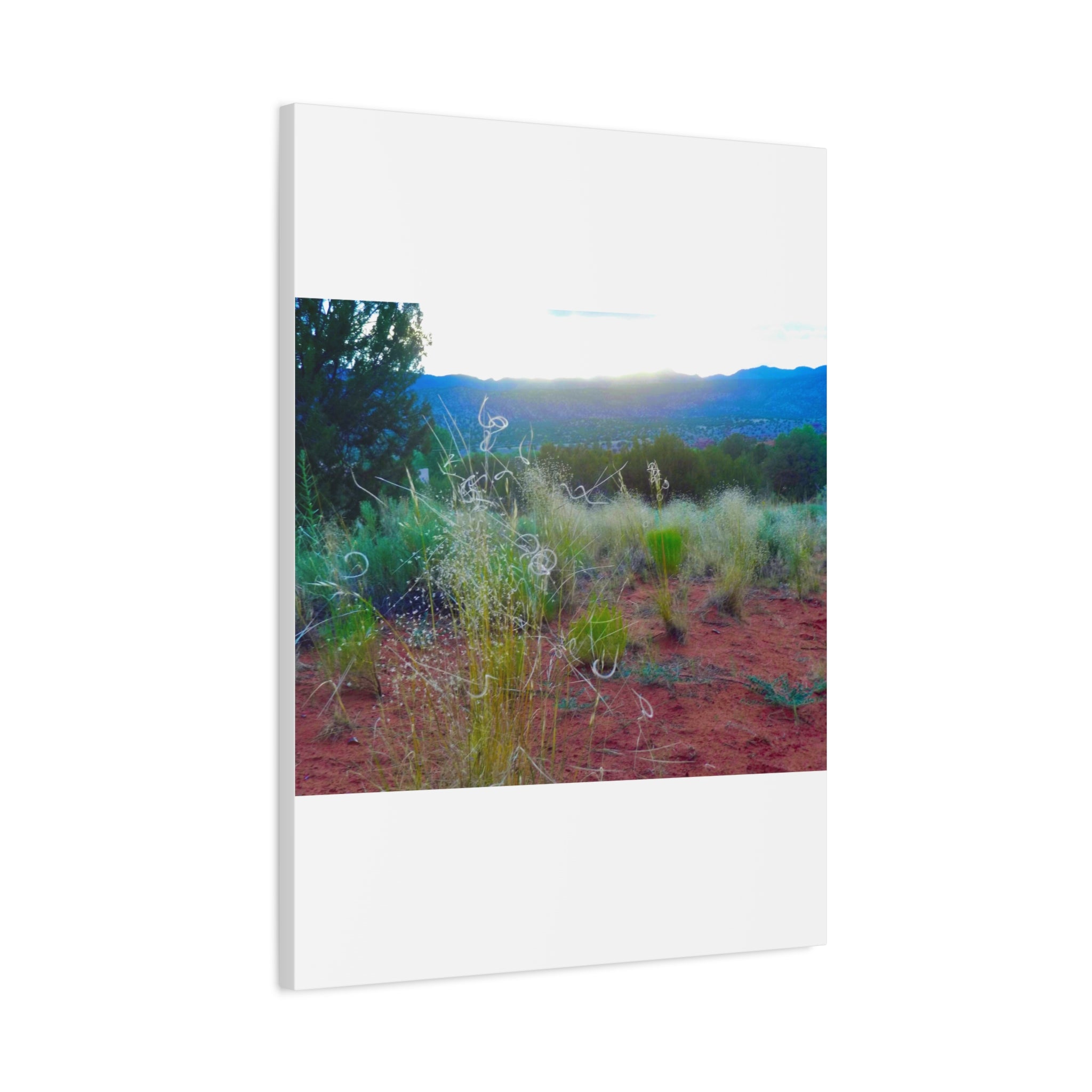 Stretched Canvas Art Print, Nature Wall Decor, Boho Home Decor, Rustic Landscape Art, Gift for Nature Lovers