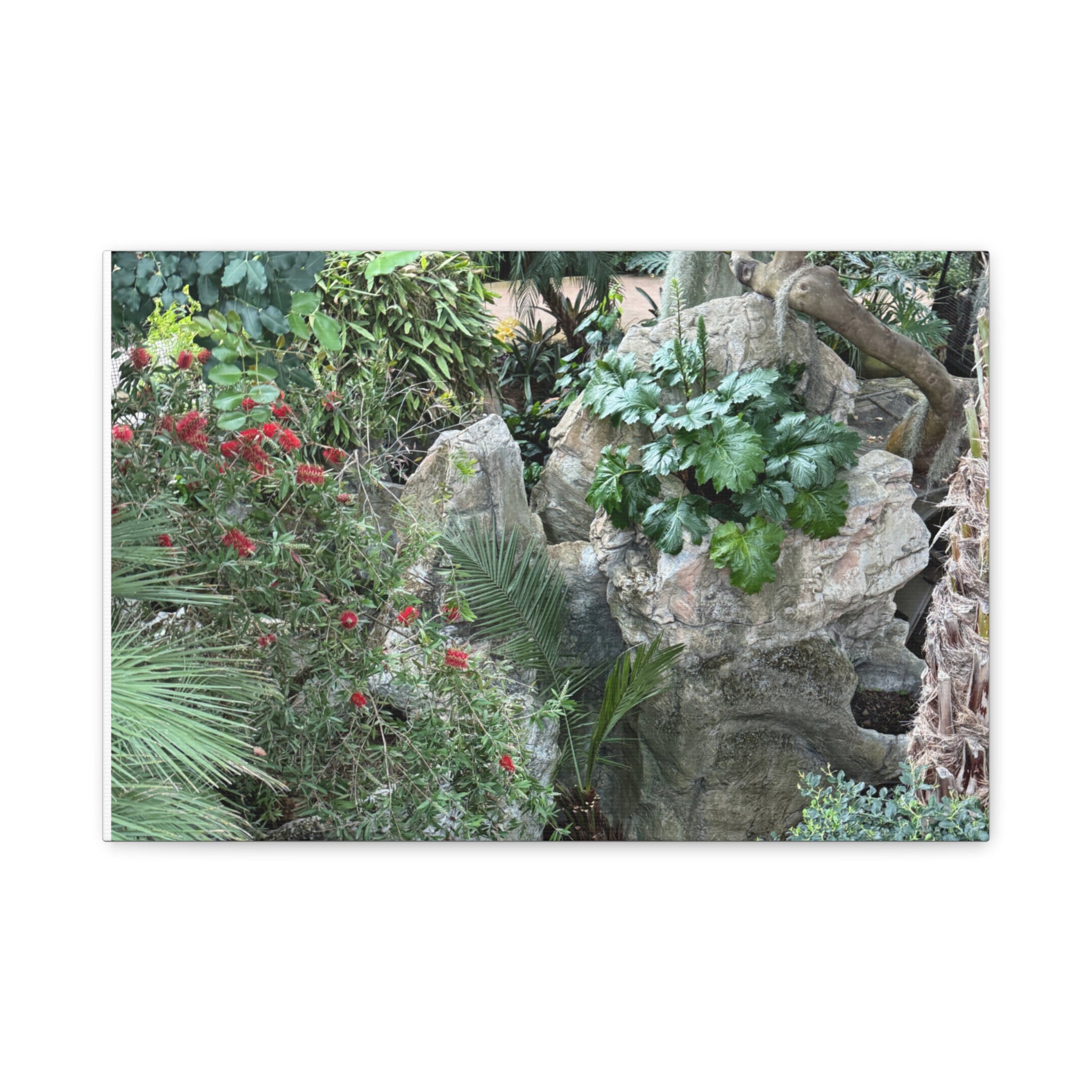 Nature-Inspired Wall Art, Canvas Print, Botanical Decor for Home, Greenery Art, Gift for Nature Lovers, Eco-Friendly Decoration