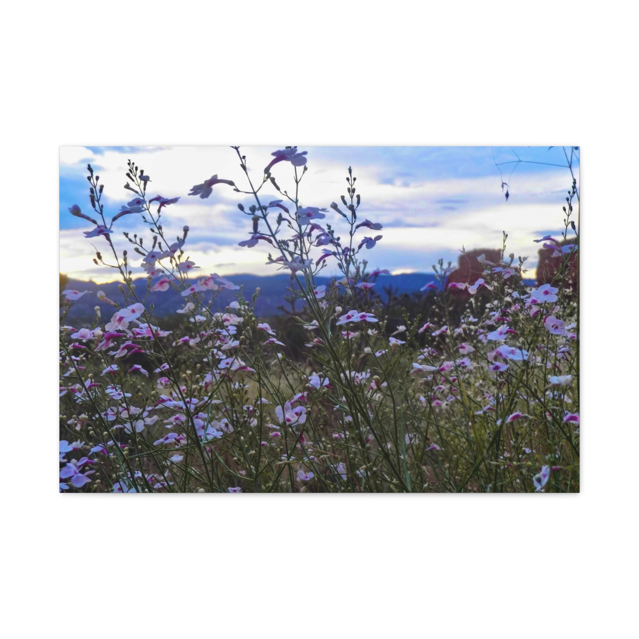 Floral Wall Art Canvas, Nature-Inspired Home Decor, Flower Print, Rustic Living Room, Gift for Gardeners, Boho Wall Art