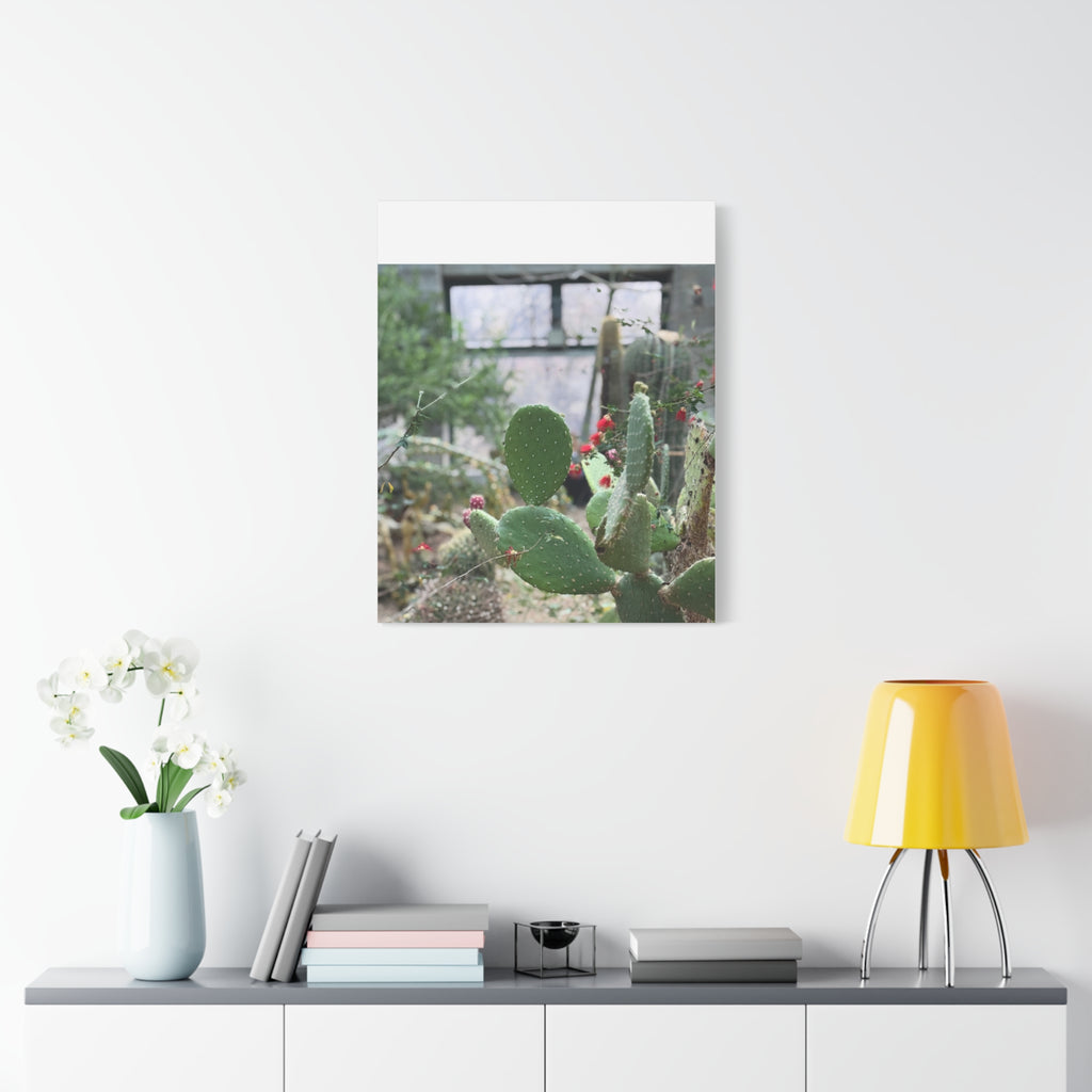 Cactus Matte Canvas Wall Art, Nature Decor, Southwestern Room Design, Green Plant Prints, Home and Office Wall Decor