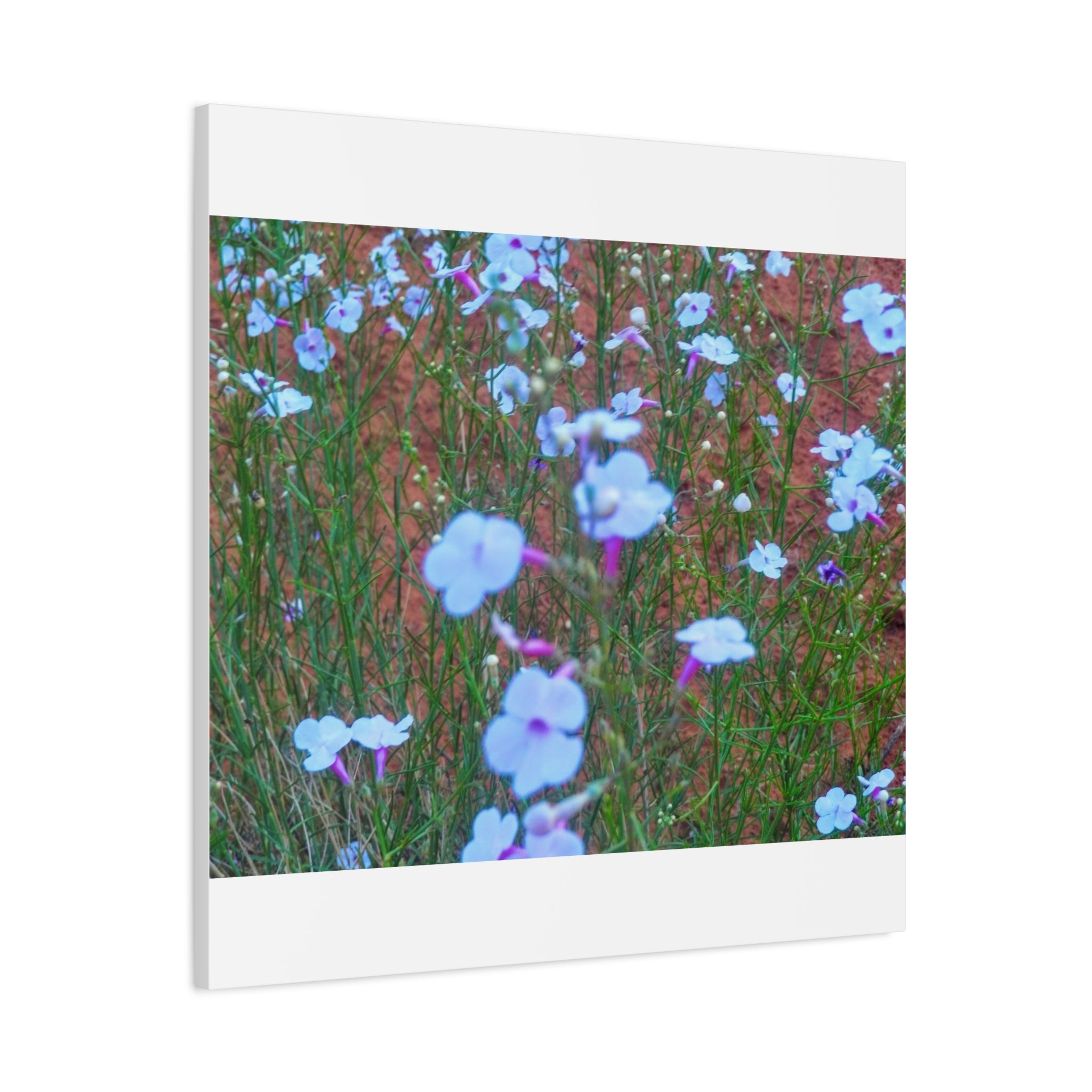 Floral Canvas Wall Art, Home Decor, Wall Hanging, Gift Idea, Nature Art, Flower Print