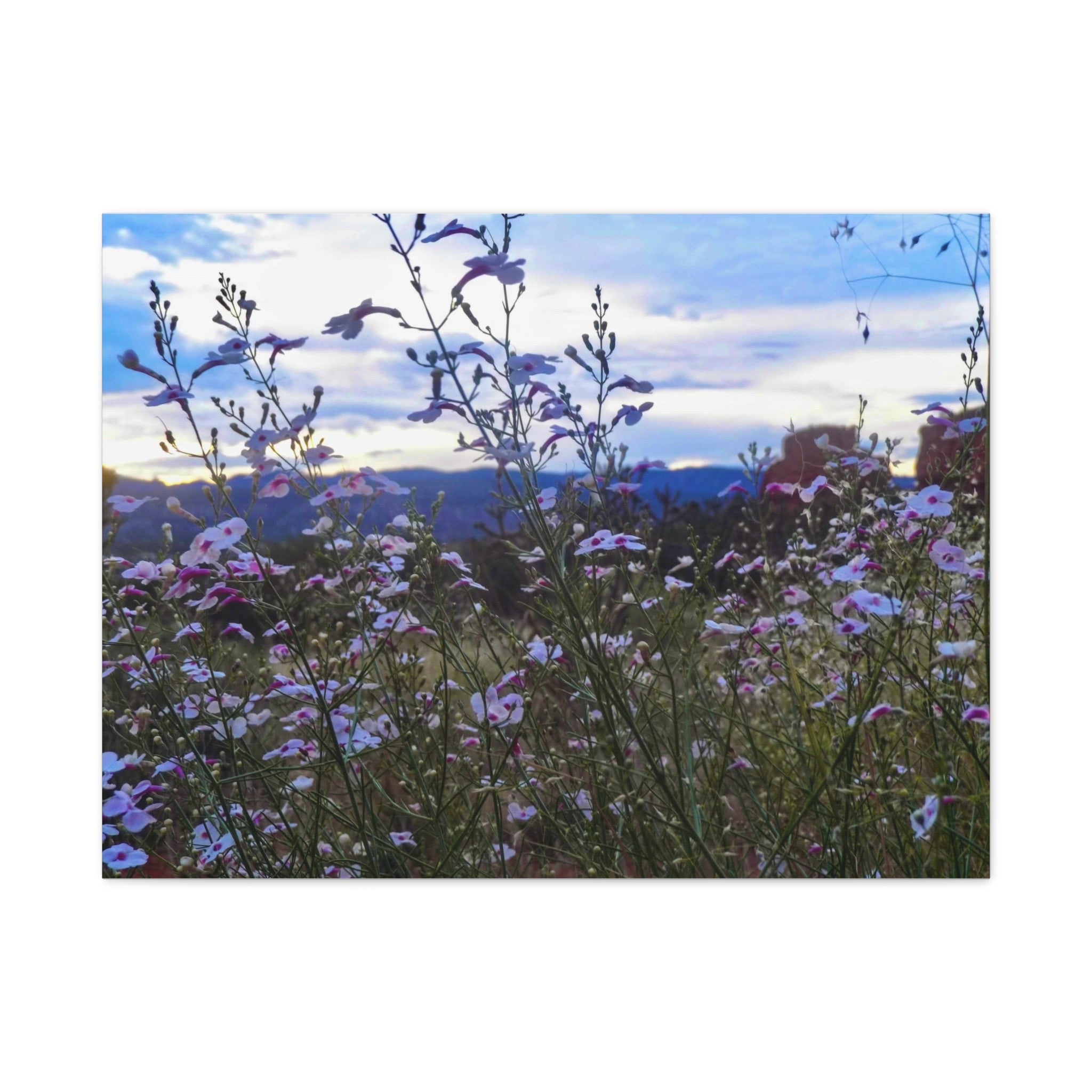 Floral Wall Art Canvas, Nature-Inspired Home Decor, Flower Print, Rustic Living Room, Gift for Gardeners, Boho Wall Art