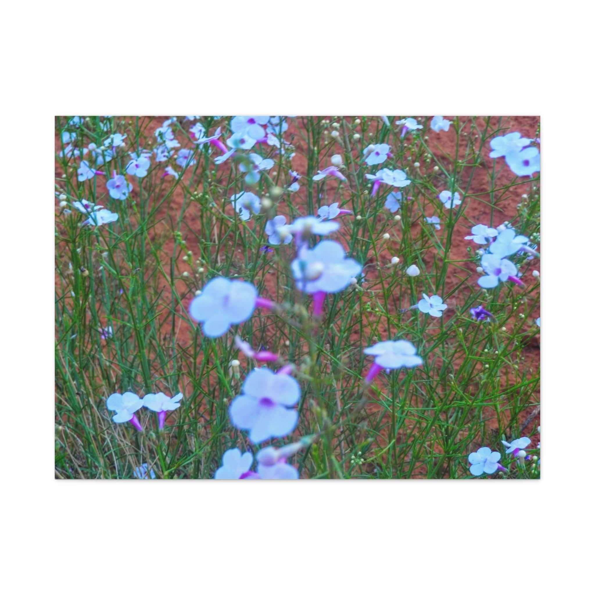 Floral Canvas Wall Art, Home Decor, Wall Hanging, Gift Idea, Nature Art, Flower Print