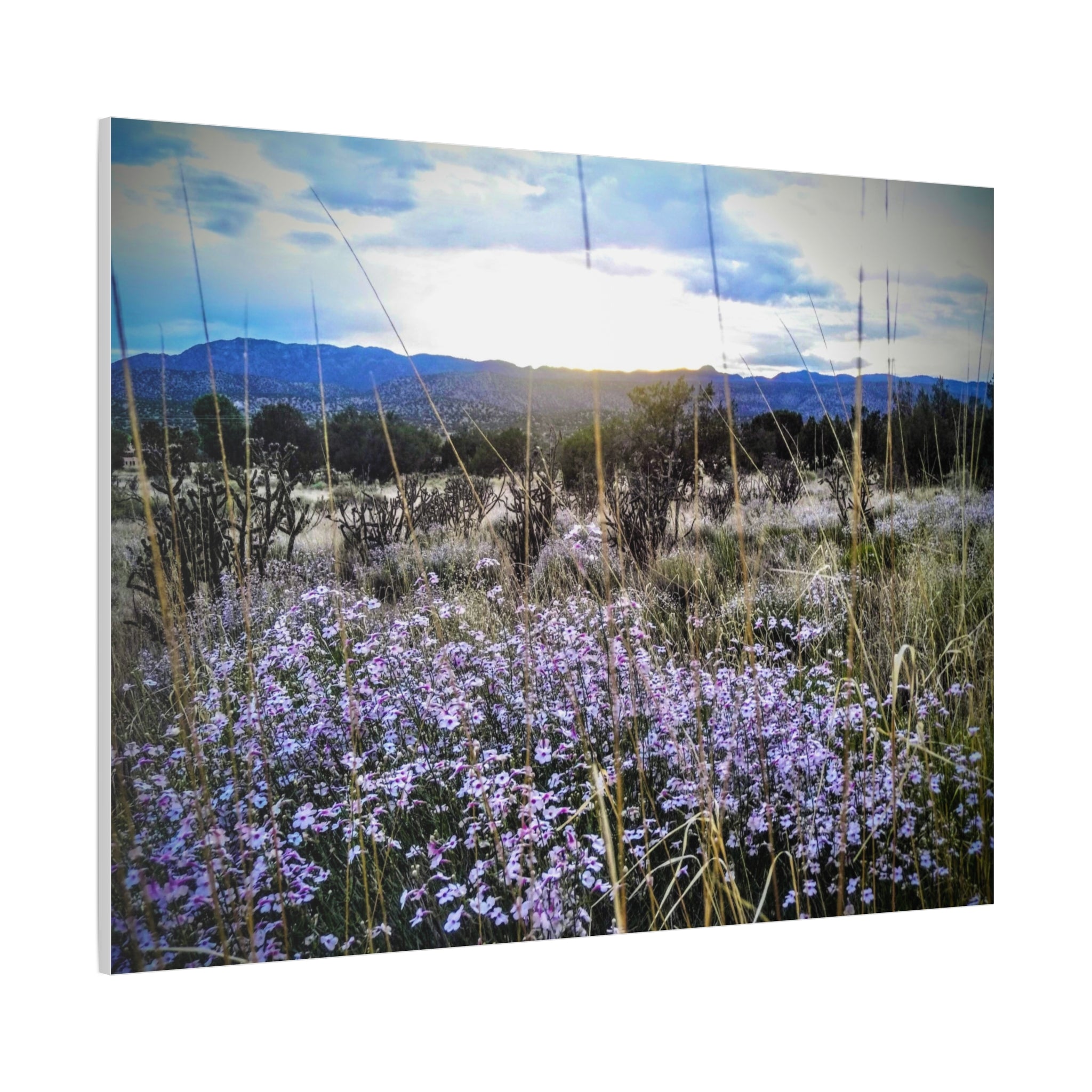 Framed Botanical Wall Art, Floral Canvas Print, Nature Decor, Home Interior Art, Gift for Garden Lovers, Beautiful Flower Landscape