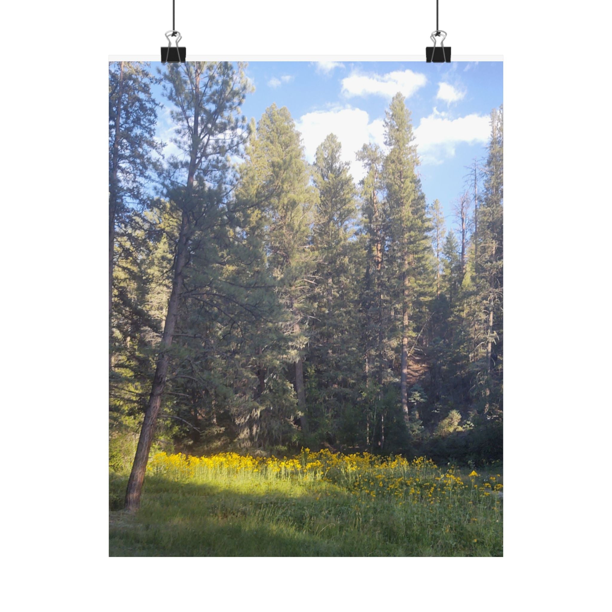 Nature-Inspired Matte Vertical Posters, Wall Artwork, Home Decor, Forest Prints, Boho Wall Art, Gift for Nature Lovers