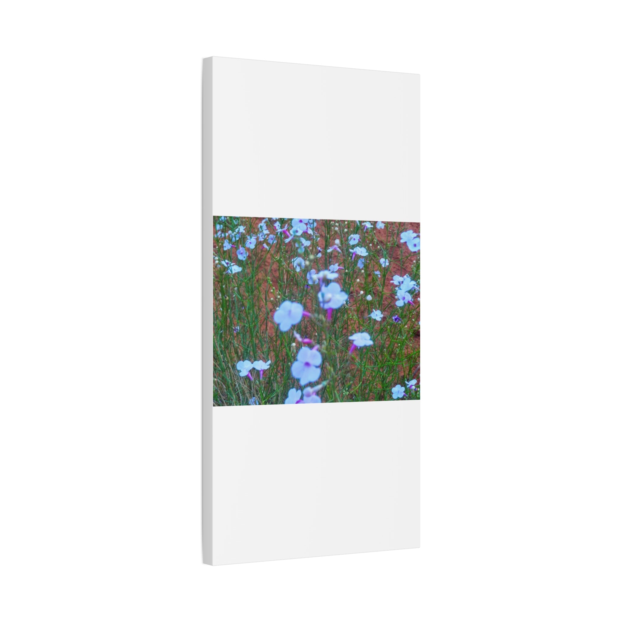 Floral Canvas Wall Art, Home Decor, Wall Hanging, Gift Idea, Nature Art, Flower Print