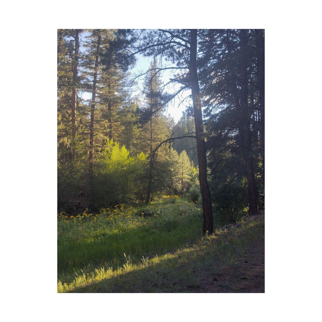 Nature-Inspired Vertical Posters, Scenic Wall Art, Home Décor, Forest Print, Gift for Nature Lovers