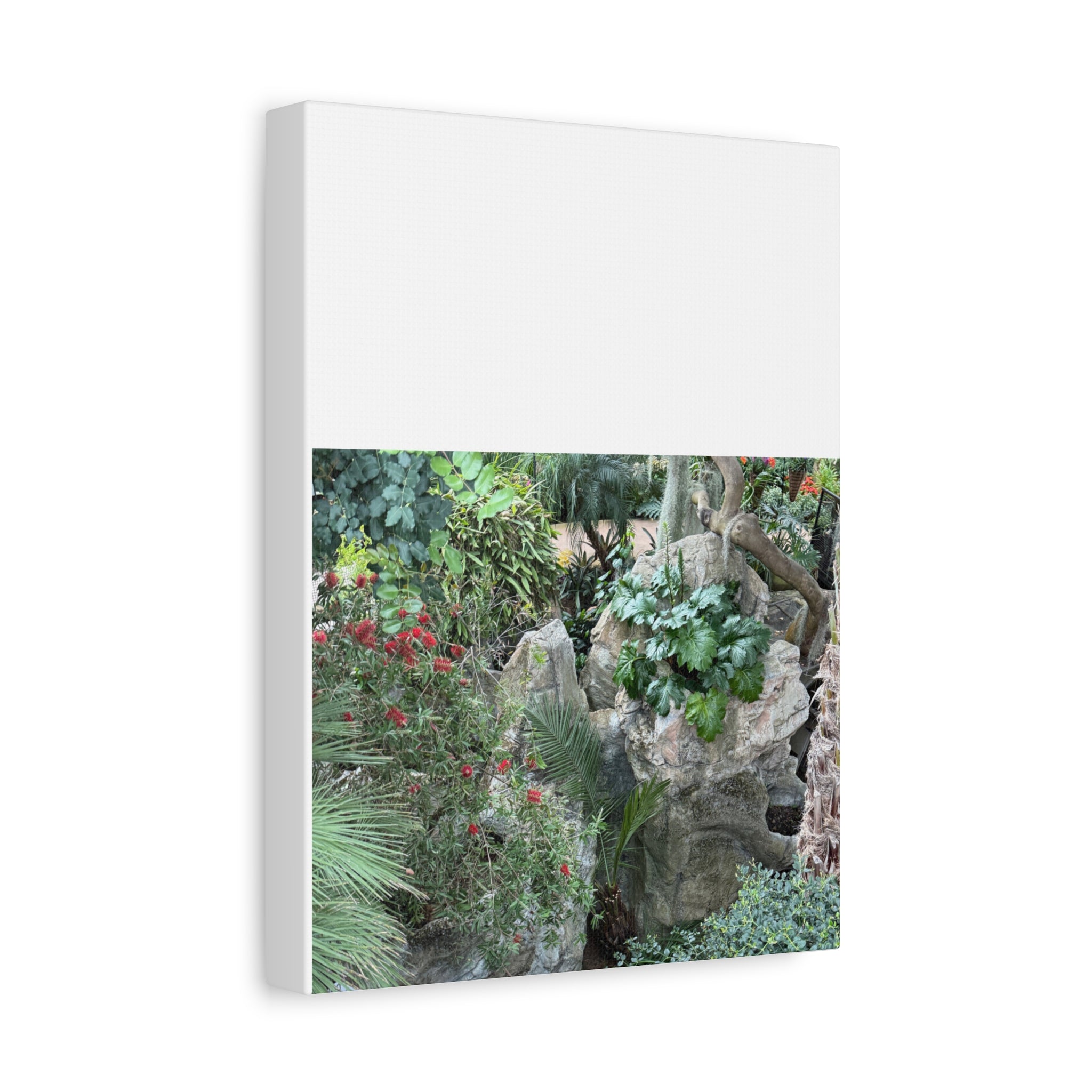 Nature-Inspired Wall Art, Canvas Print, Botanical Decor for Home, Greenery Art, Gift for Nature Lovers, Eco-Friendly Decoration