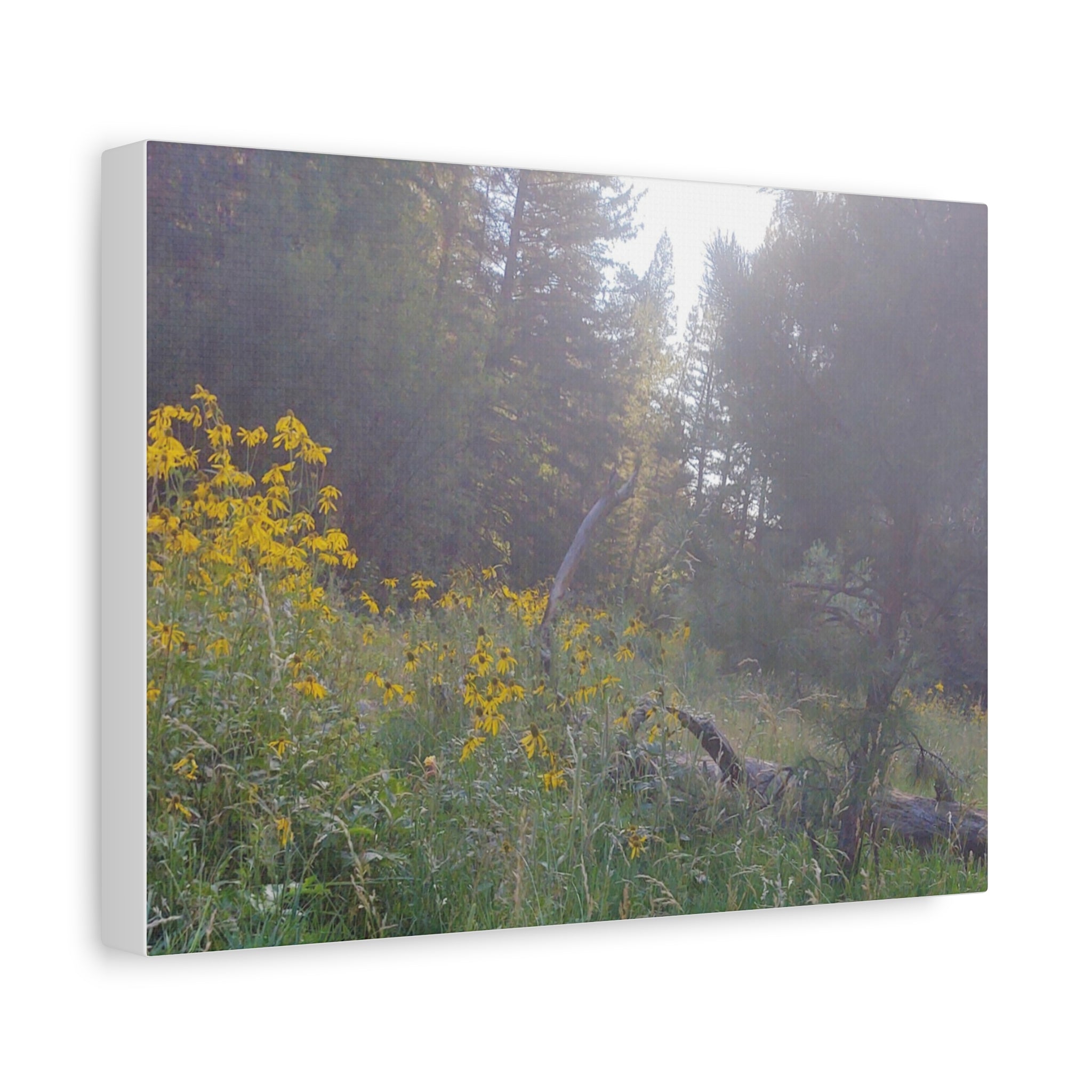 Matte Canvas, Stretched, 1.25"