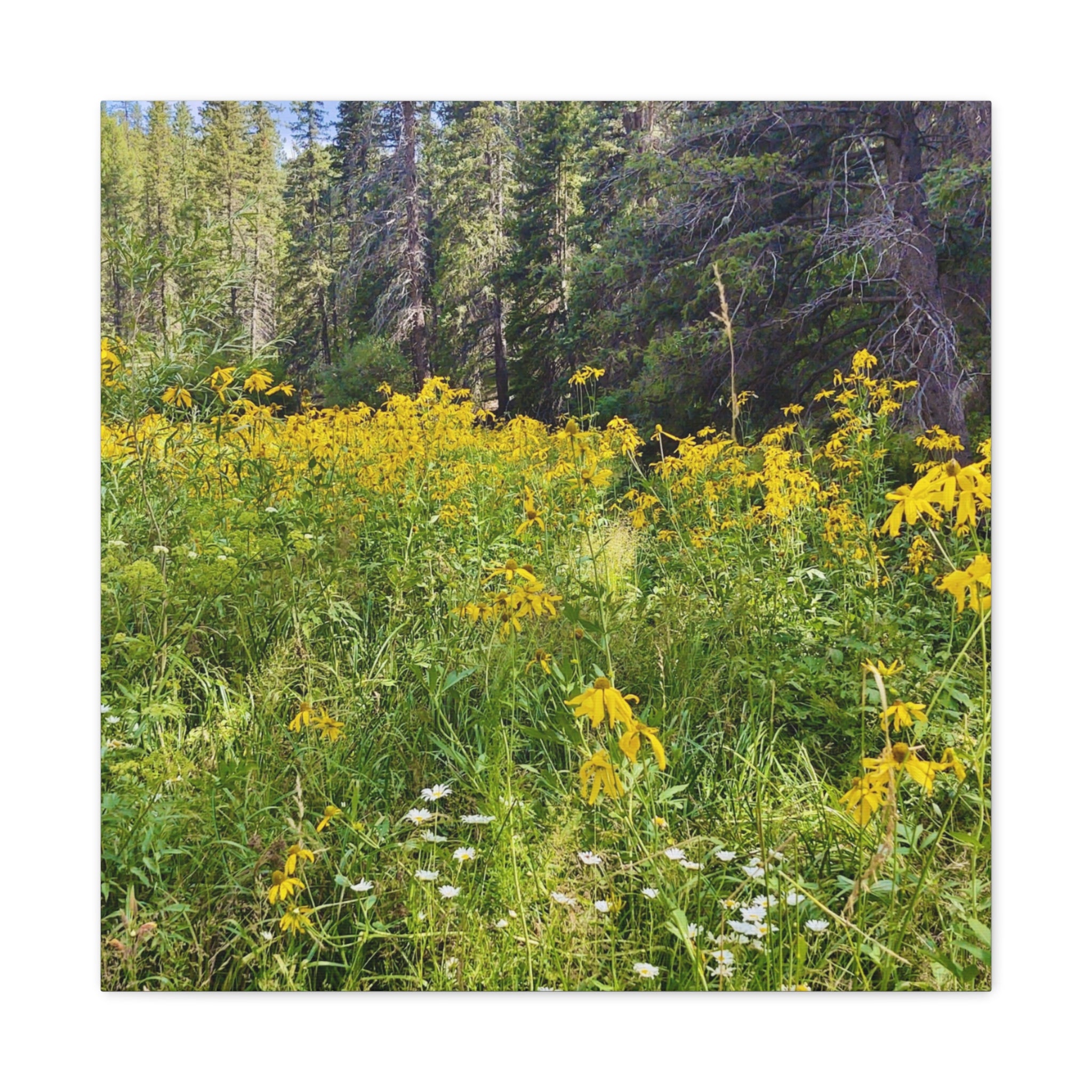 Nature-Inspired Wall Art Print, Classic Canvas Landscape, Floral Forest Decor, Home Wall Decoration, Gift for Nature Lovers