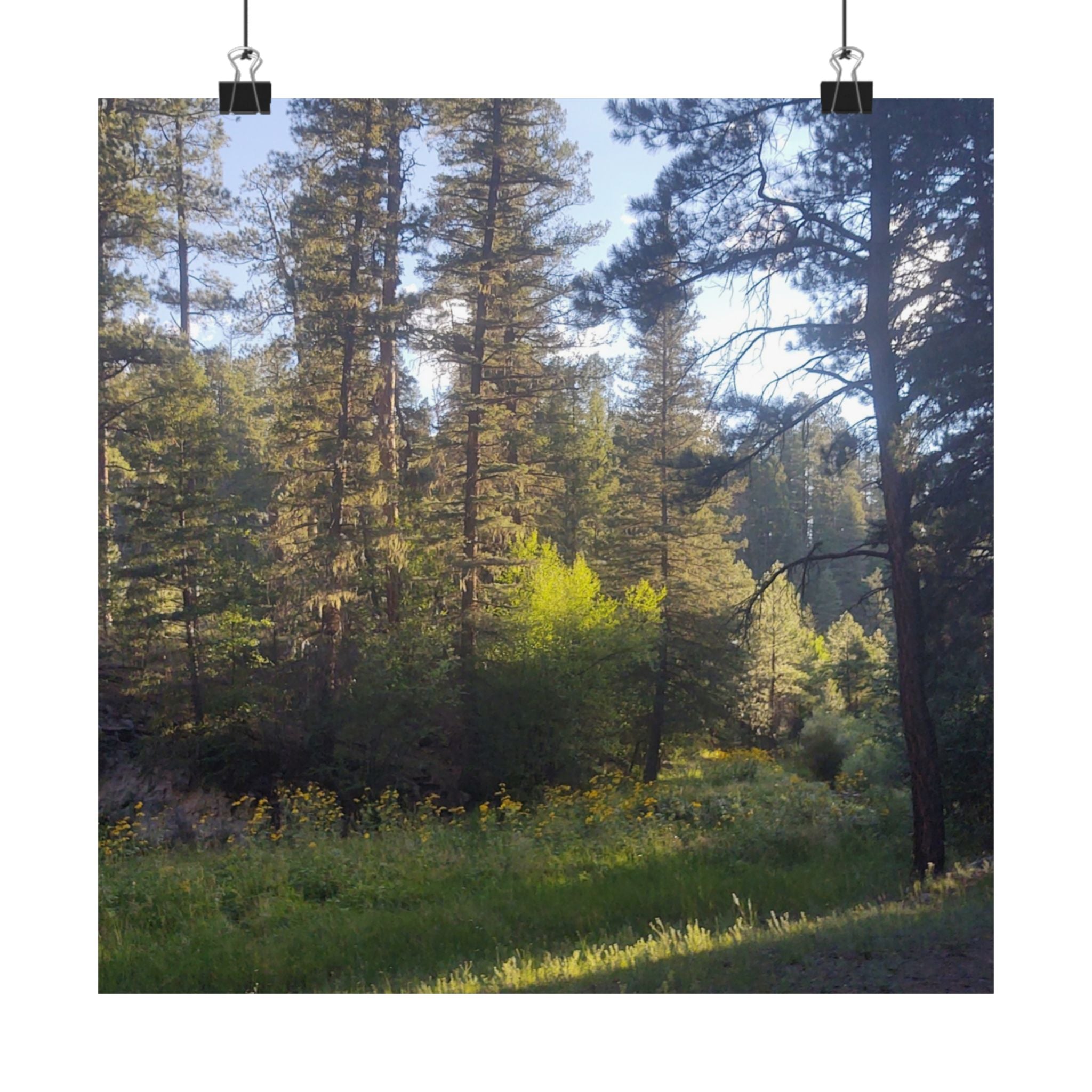 Nature-Inspired Matte Vertical Posters, Forest Wall Art, Home Décor, Greenery Prints, Gifts for Nature Lovers, Nature Photography