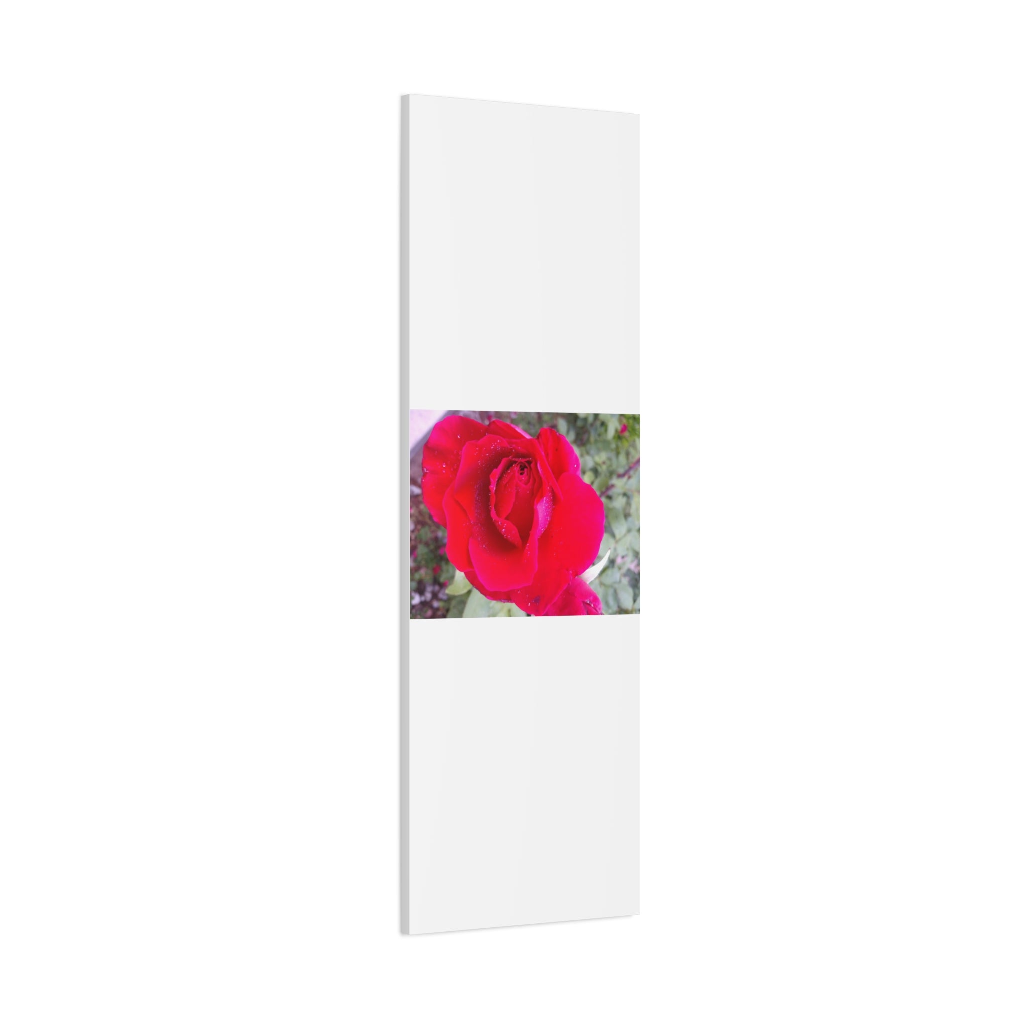 Vibrant Floral Canvas Art, Elegant Wall Decor, Perfect for Home, Gifts, Mother's Day, and Weddings