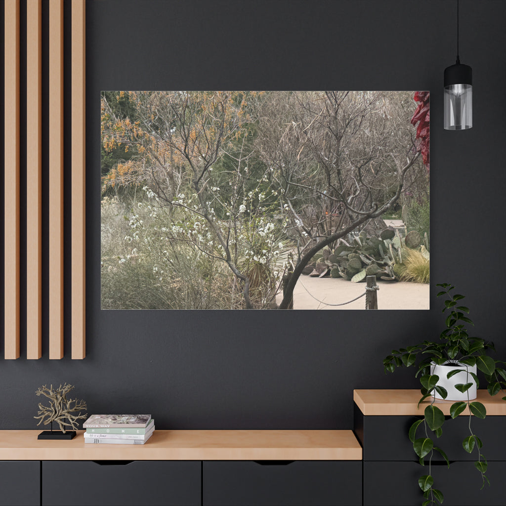 Classic Canvas Art Print, Bohemian Decor, Nature Wall Art, Home Gallery, Rustic Wall Decoration