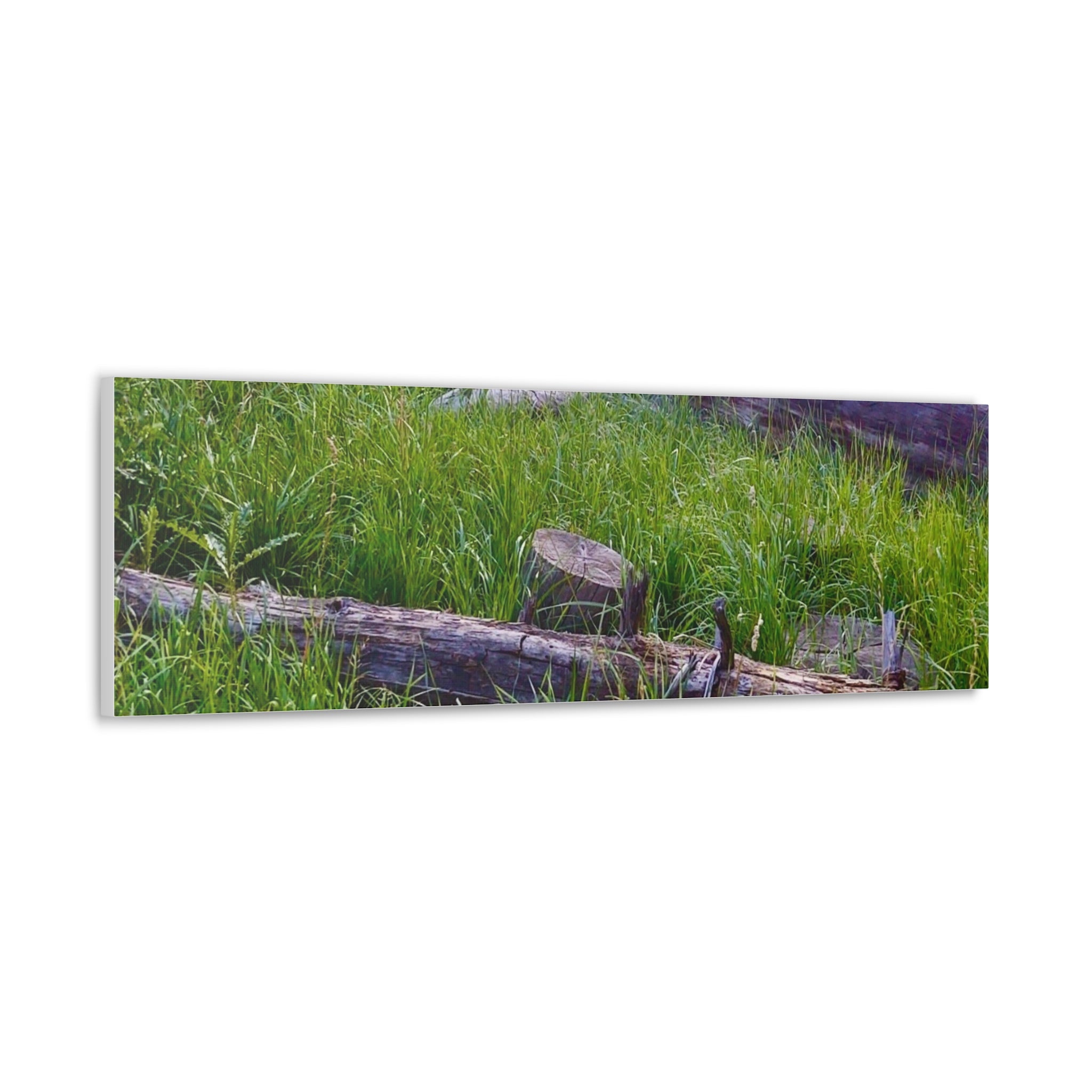 Classic Canvas Wall Art - Nature Decor, Outdoor Wall Hanging, Home Aesthetic, Gift for Nature Lovers, Rustic Cabin Decor